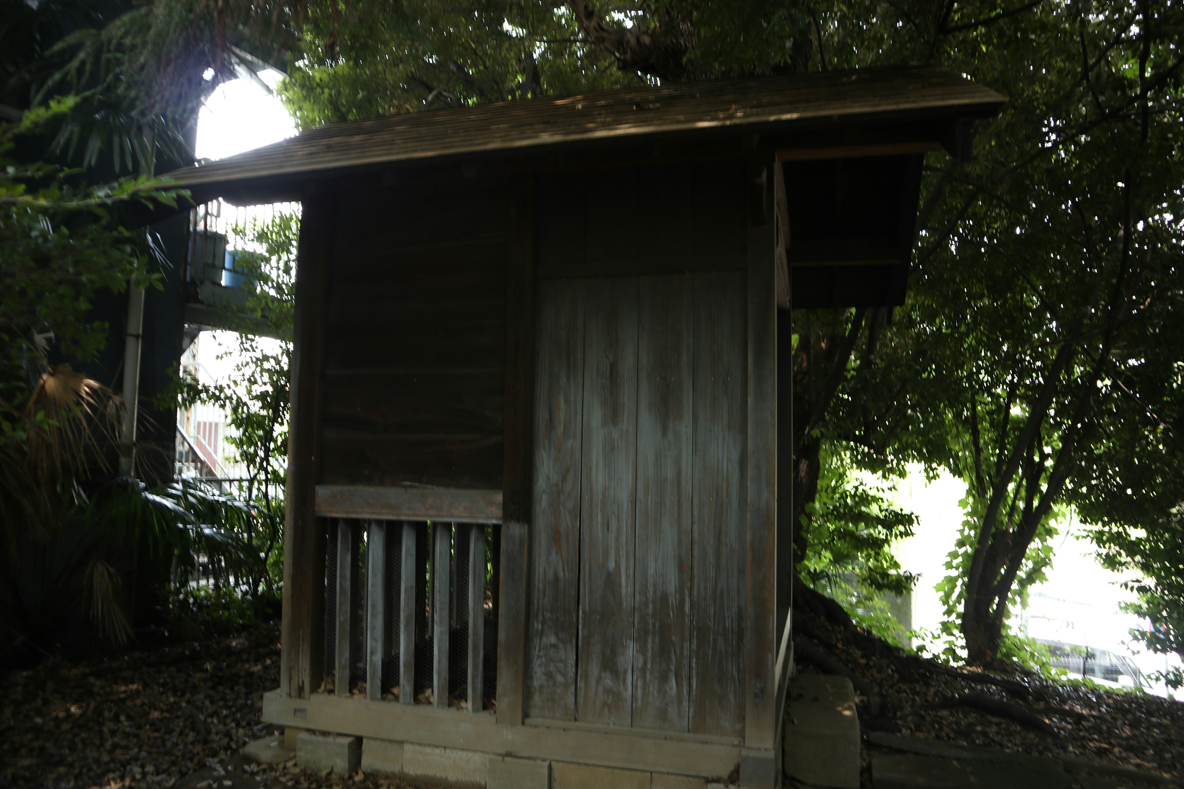 木製の小屋が緑の木々に囲まれている