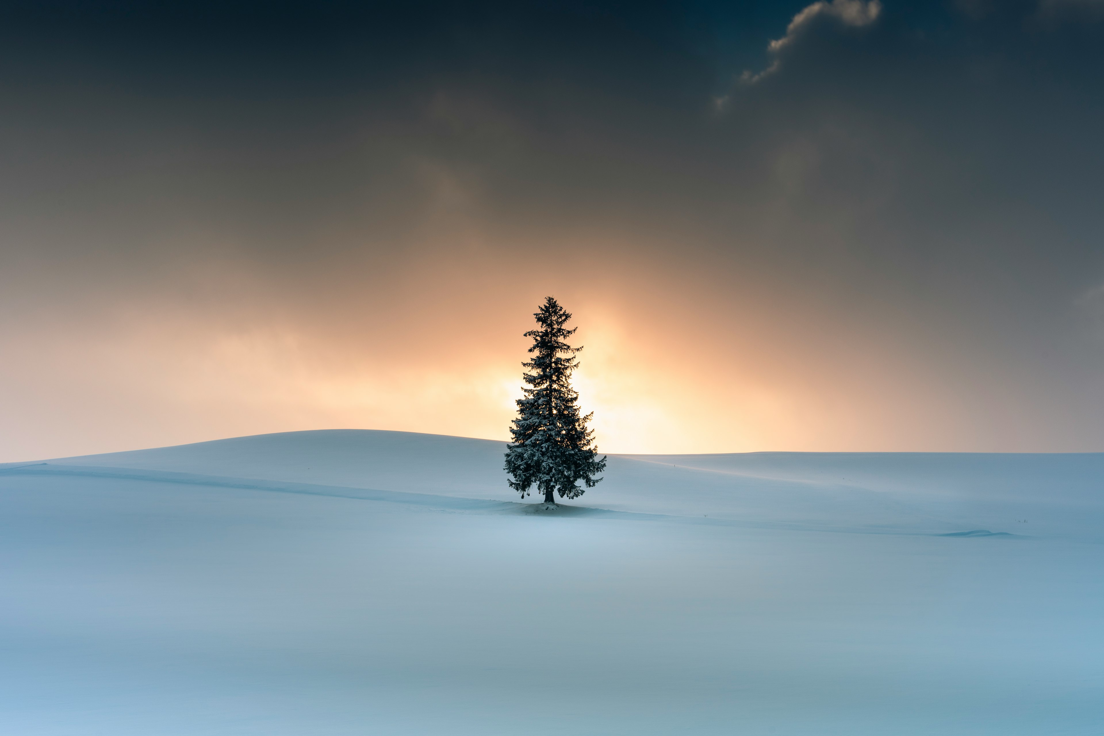 Einsamer Baum in einer verschneiten Landschaft mit Sonnenuntergang im Hintergrund