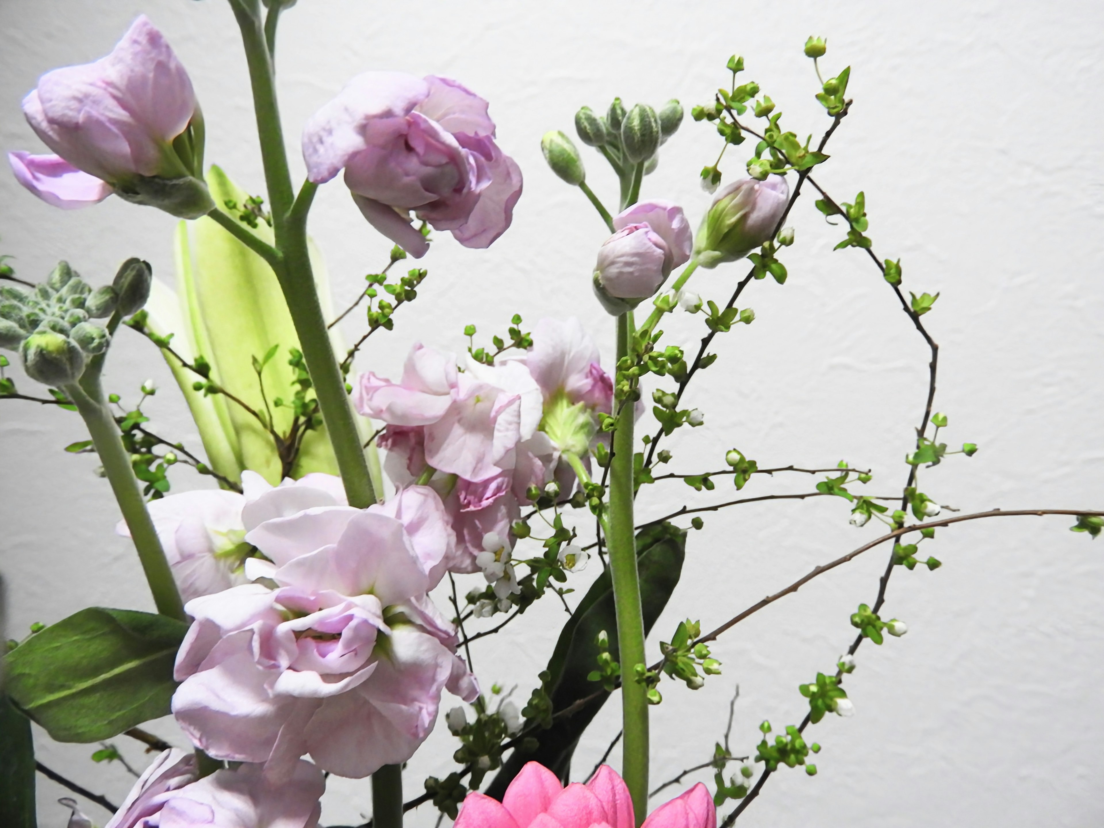 Beautiful arrangement of colorful flowers