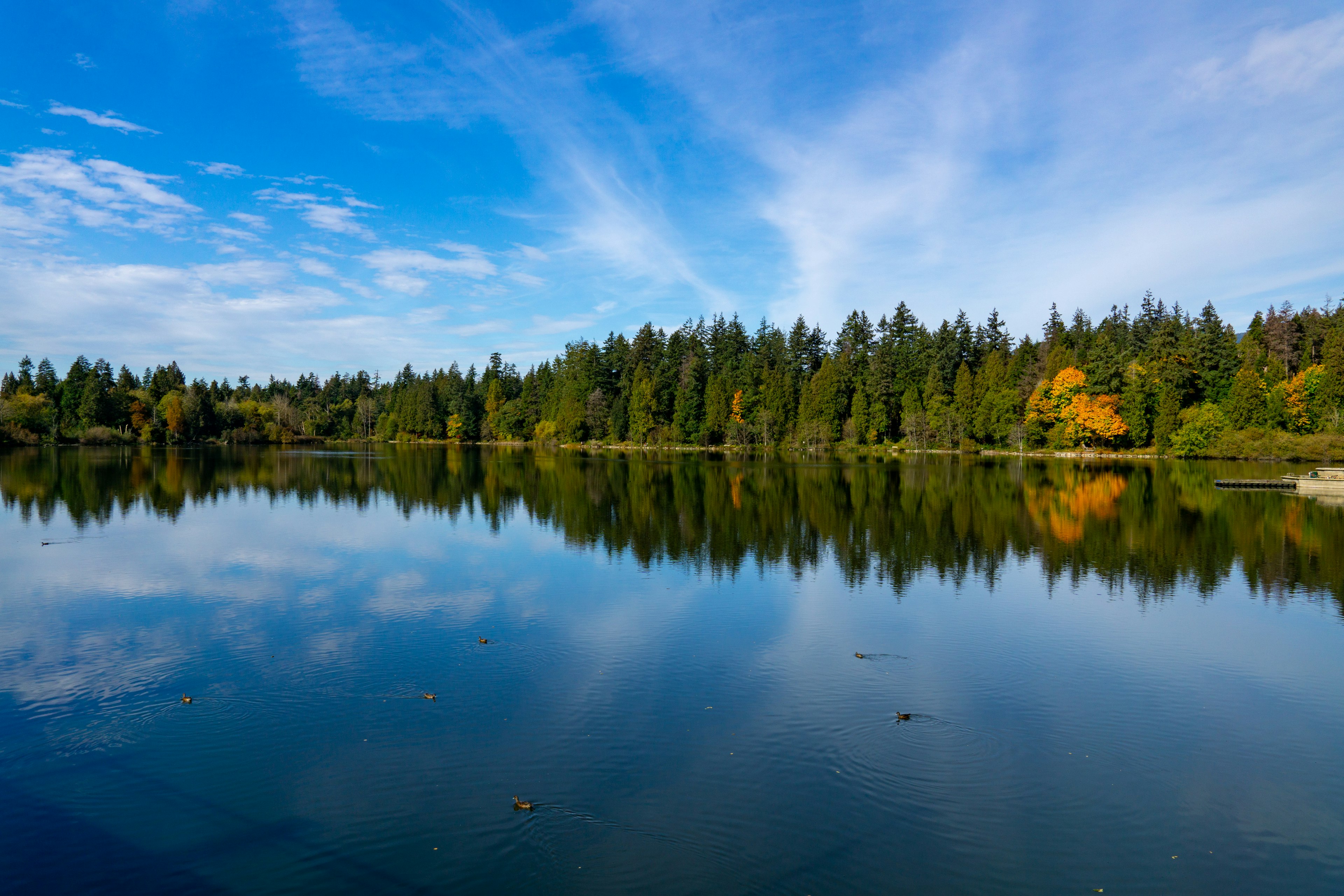 Lago tranquilo que refleja el cielo azul y el bosque verde