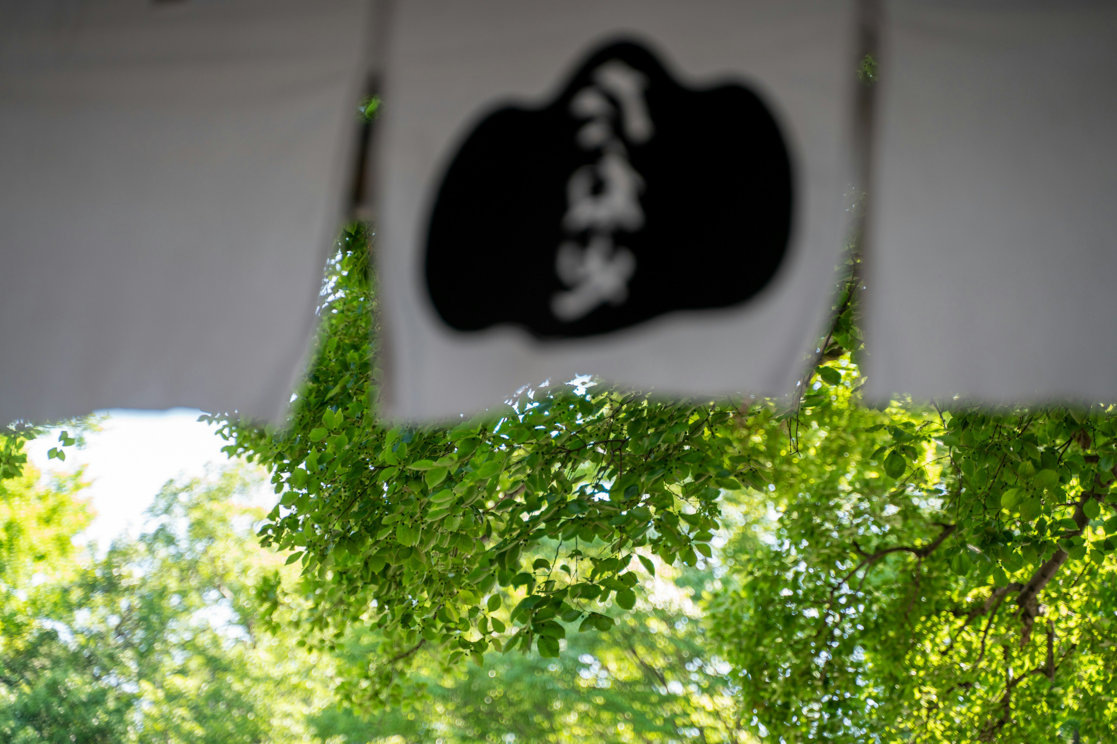 White fabric with black writing hanging among green trees