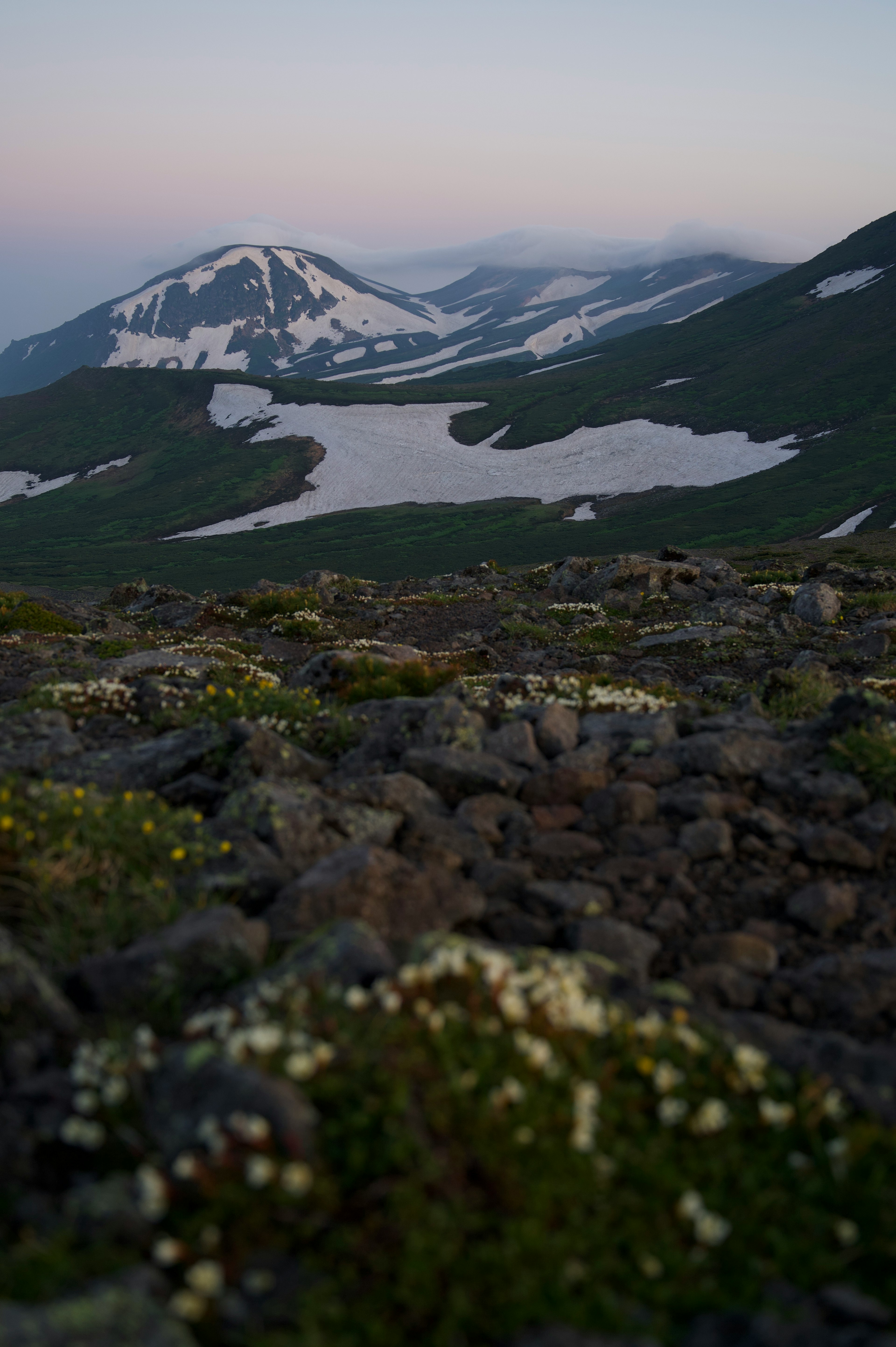 Vista escénica de una montaña cubierta de nieve y praderas verdes