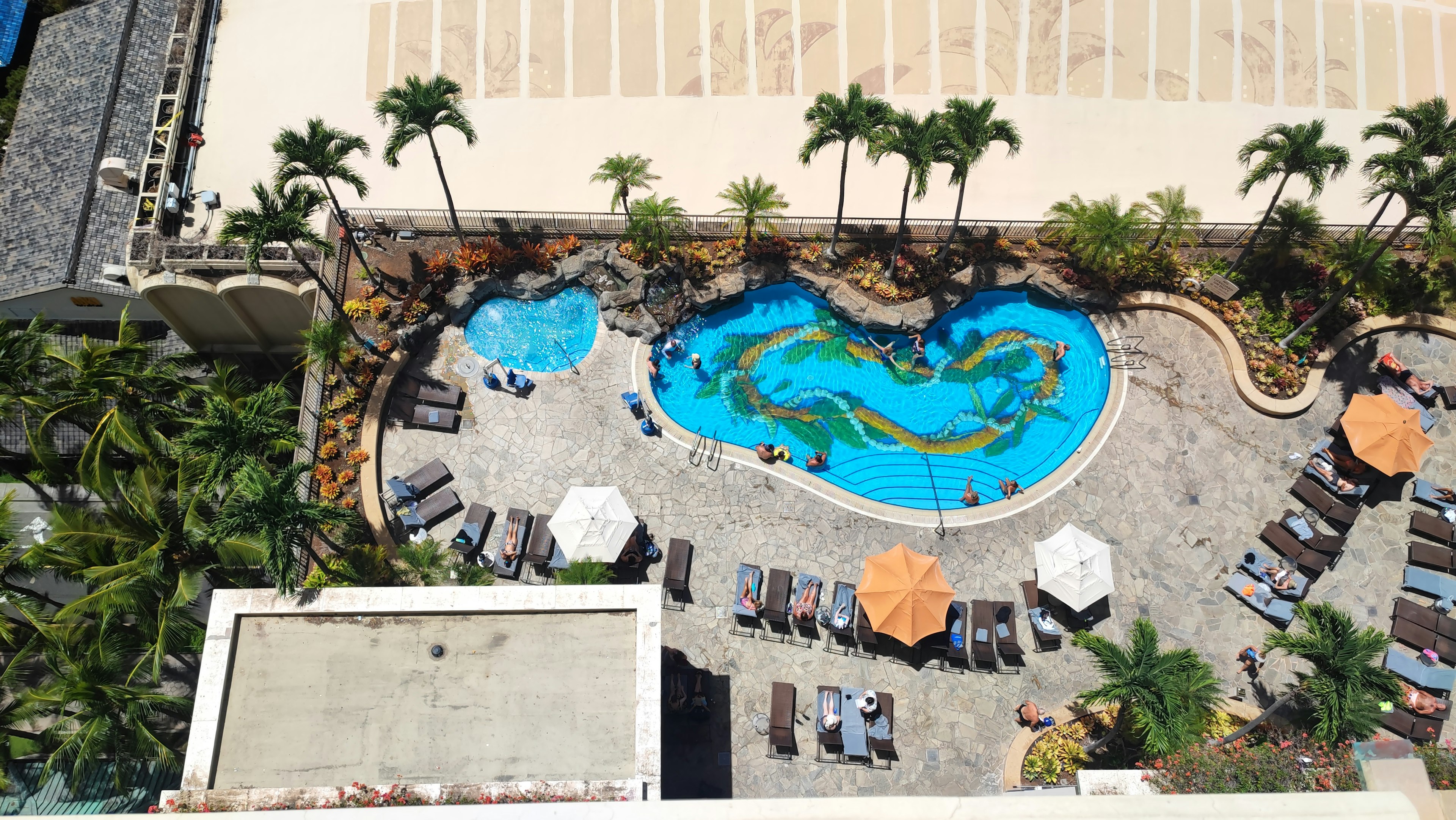 Aerial view of a blue pool with lounge chairs and palm trees