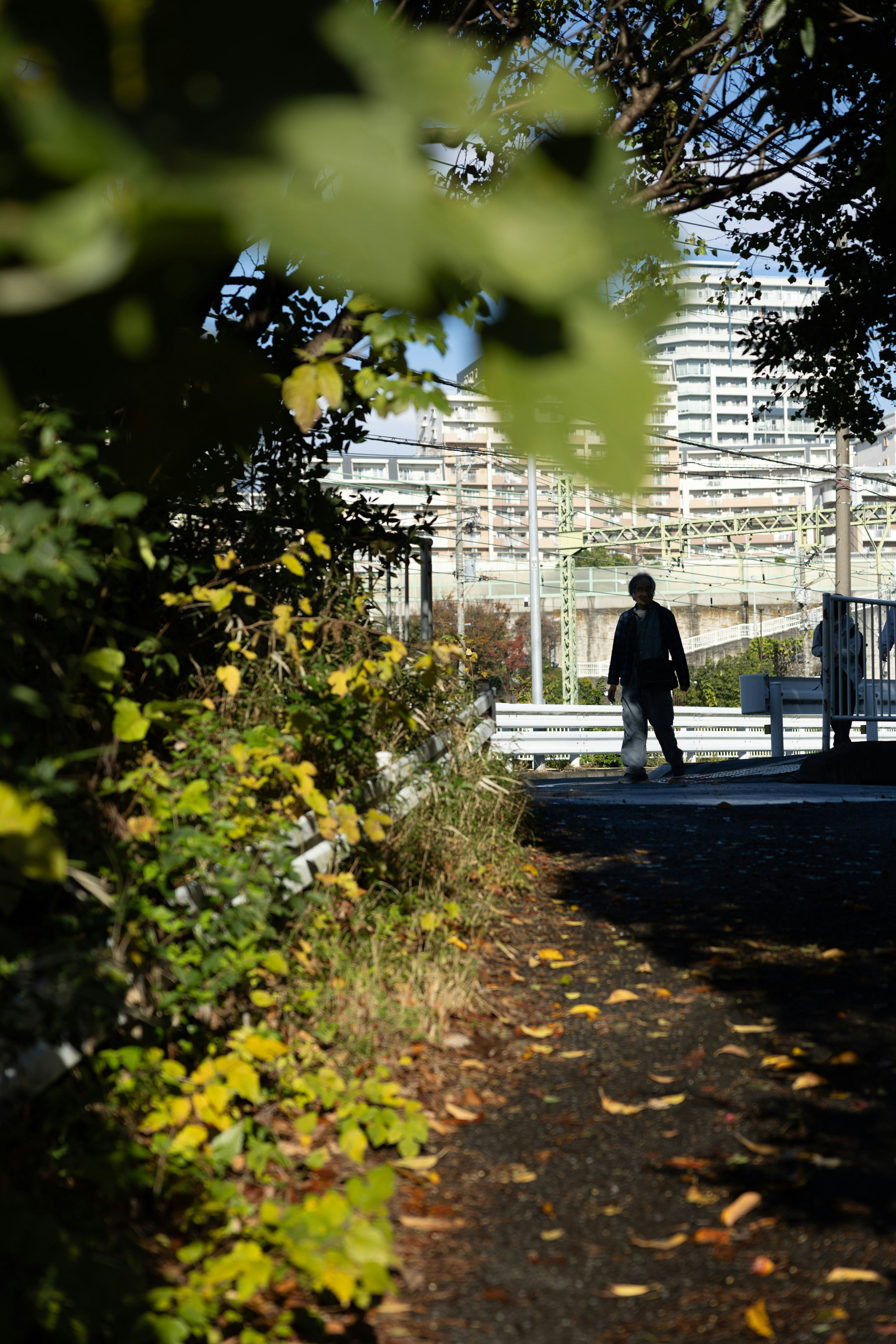 Une personne marchant le long d'un chemin entouré de feuilles vertes avec des immeubles en arrière-plan