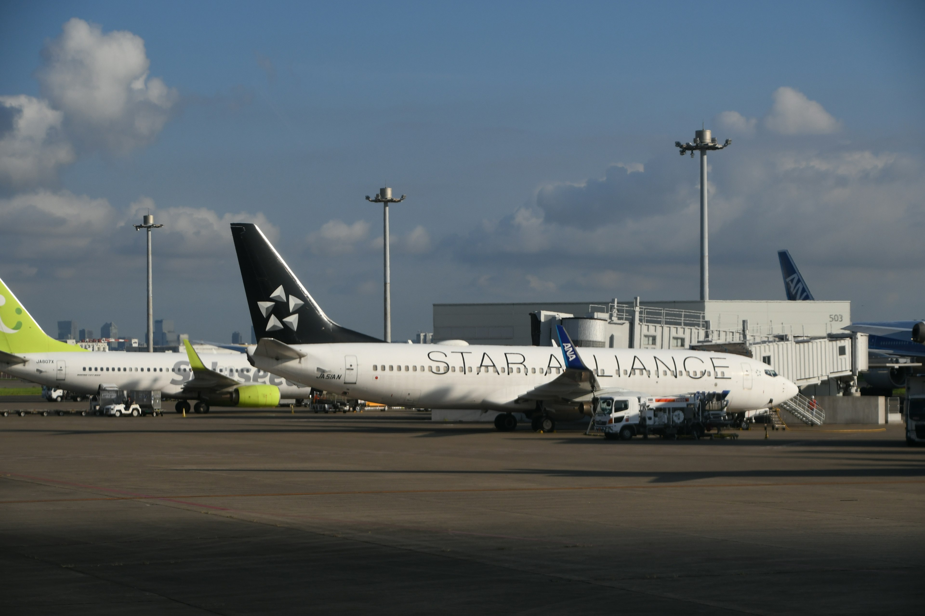 Un gruppo di aerei parcheggiati in aeroporto con un aereo distintivo di Shar Airlines