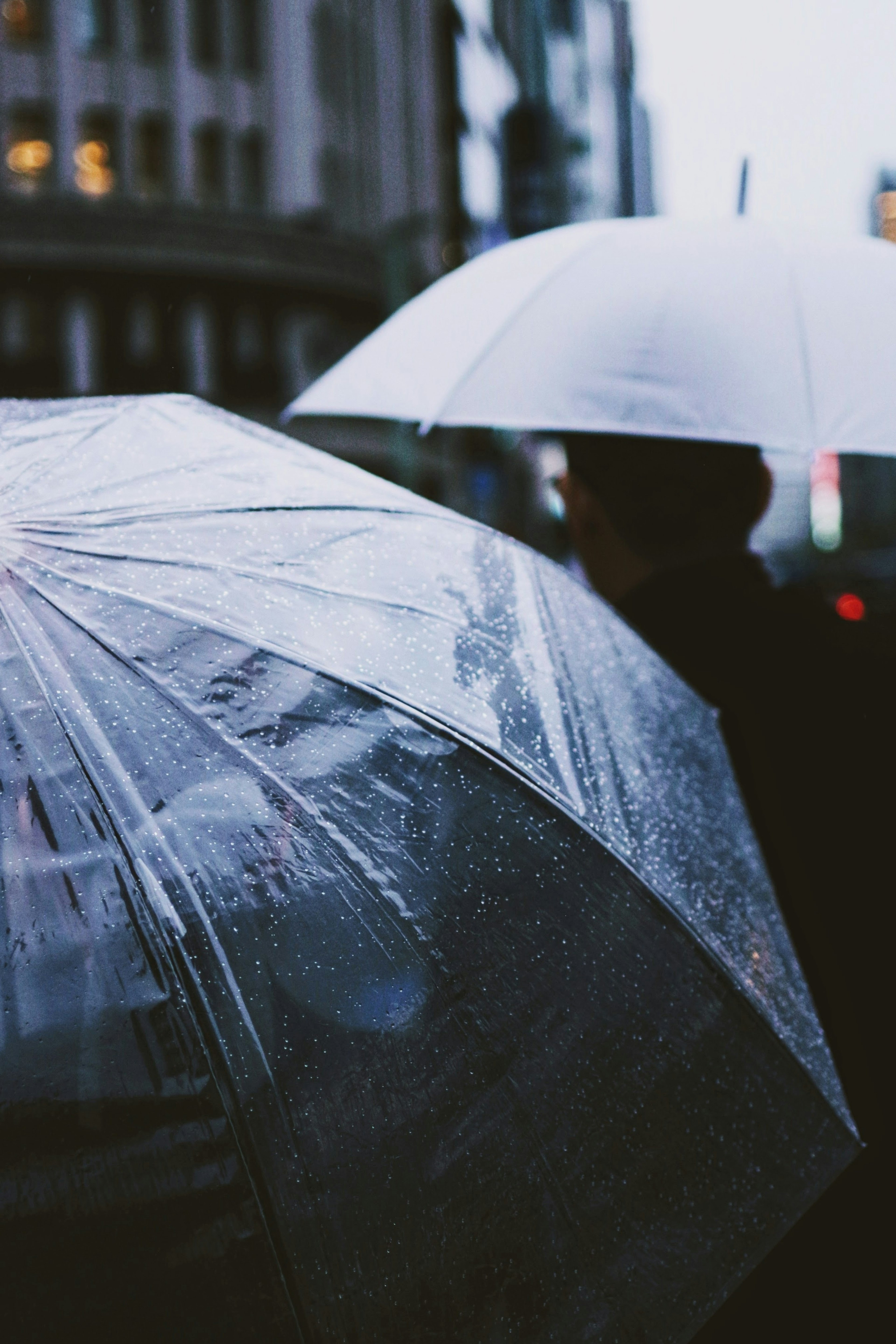 雨中持透明傘的人物剪影