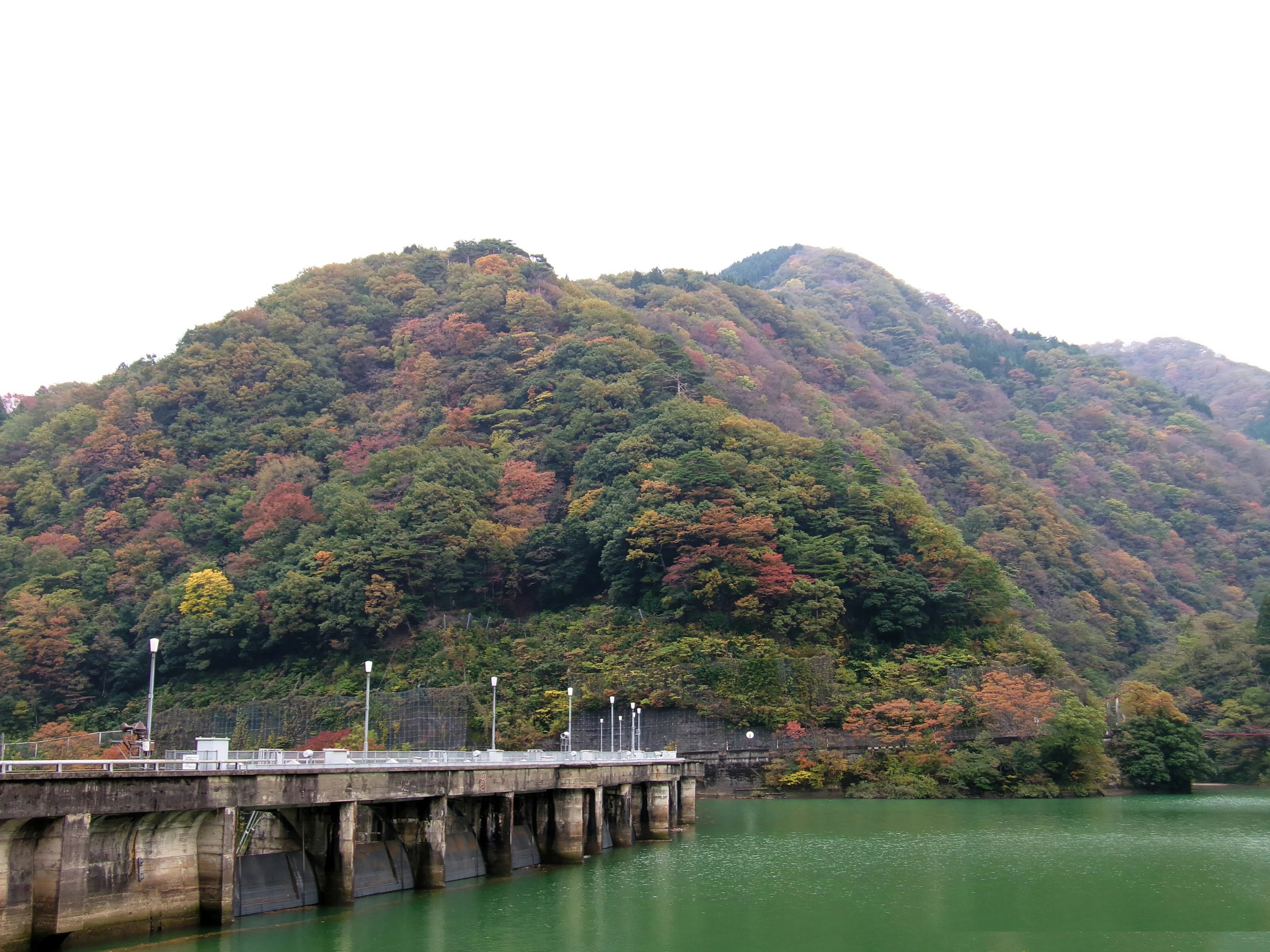 緑色の水面と色づいた山々を背景にした桟橋の風景