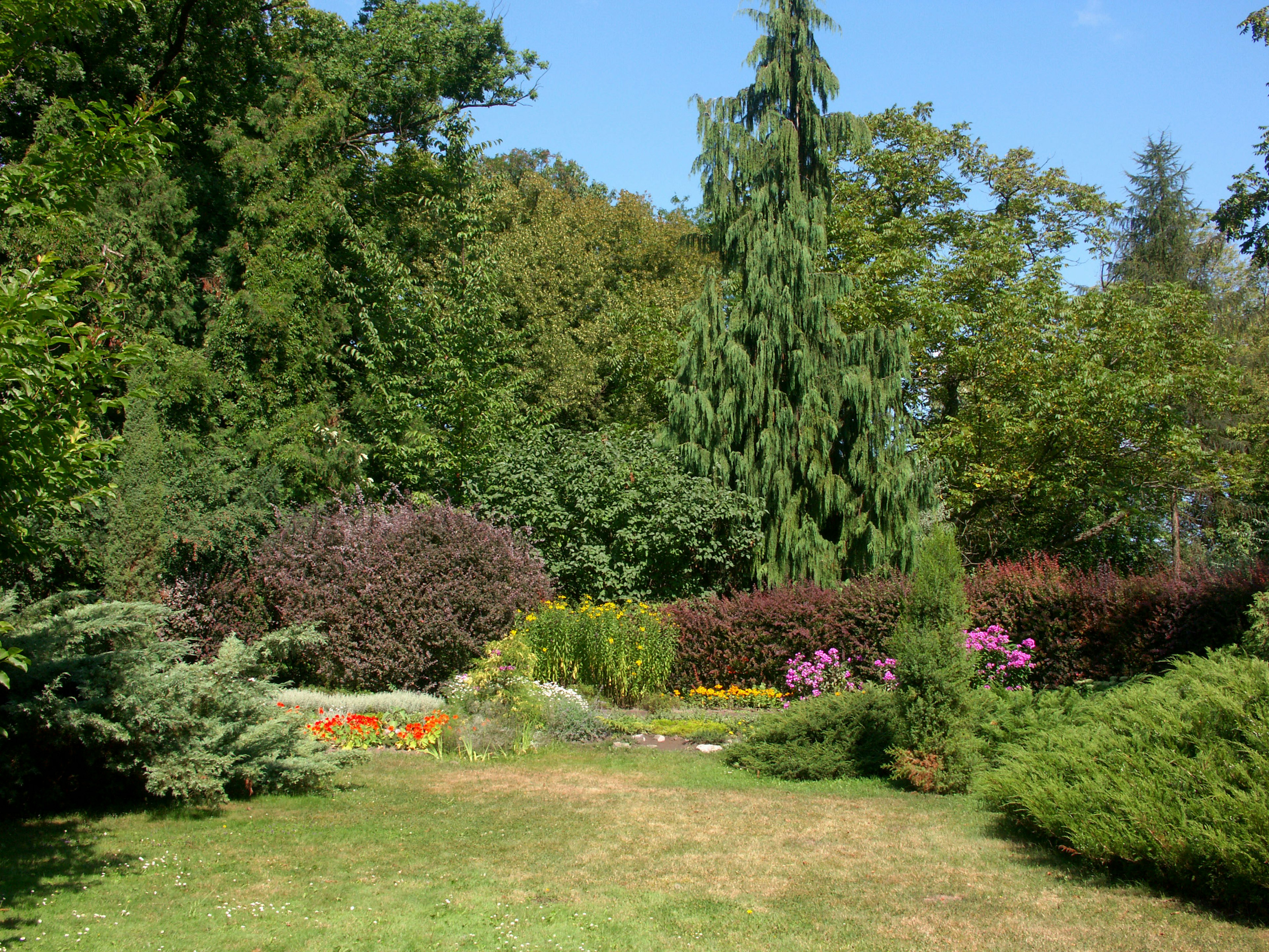 Jardín exuberante con flores coloridas y vegetación diversa