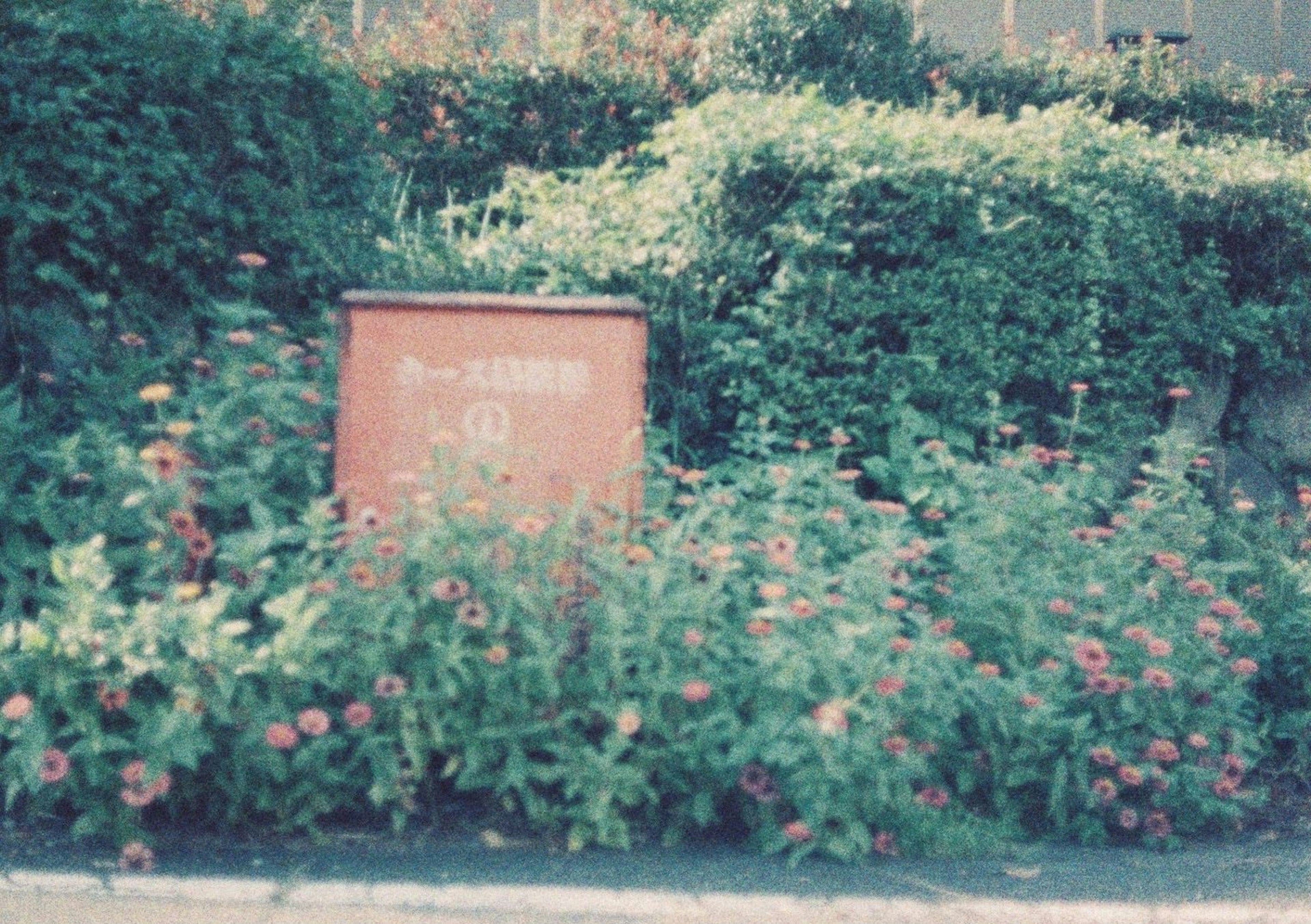 Flores coloridas en un paisaje verde con un letrero rojo