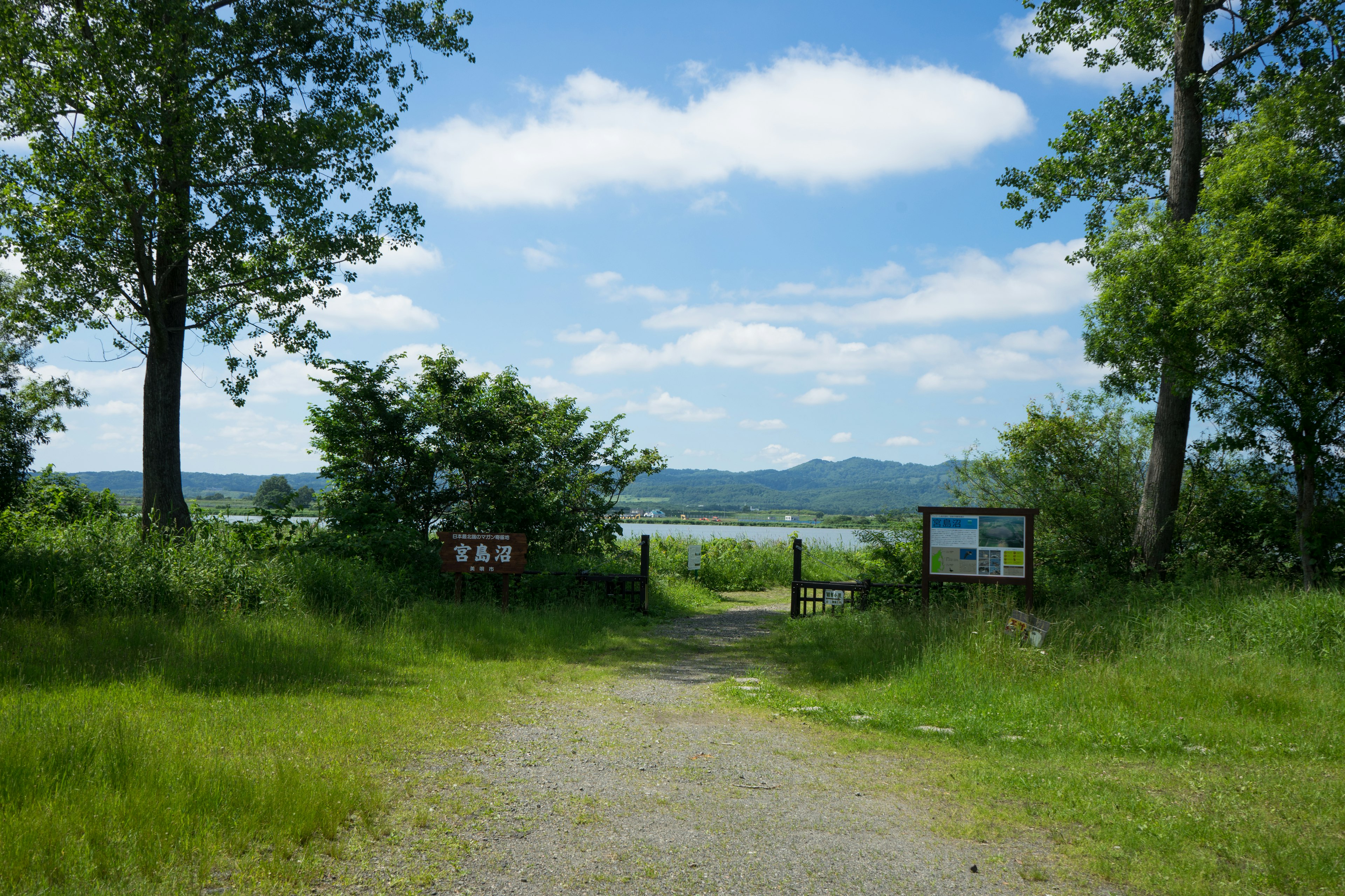 緑豊かな草地に囲まれた湖の入り口の風景