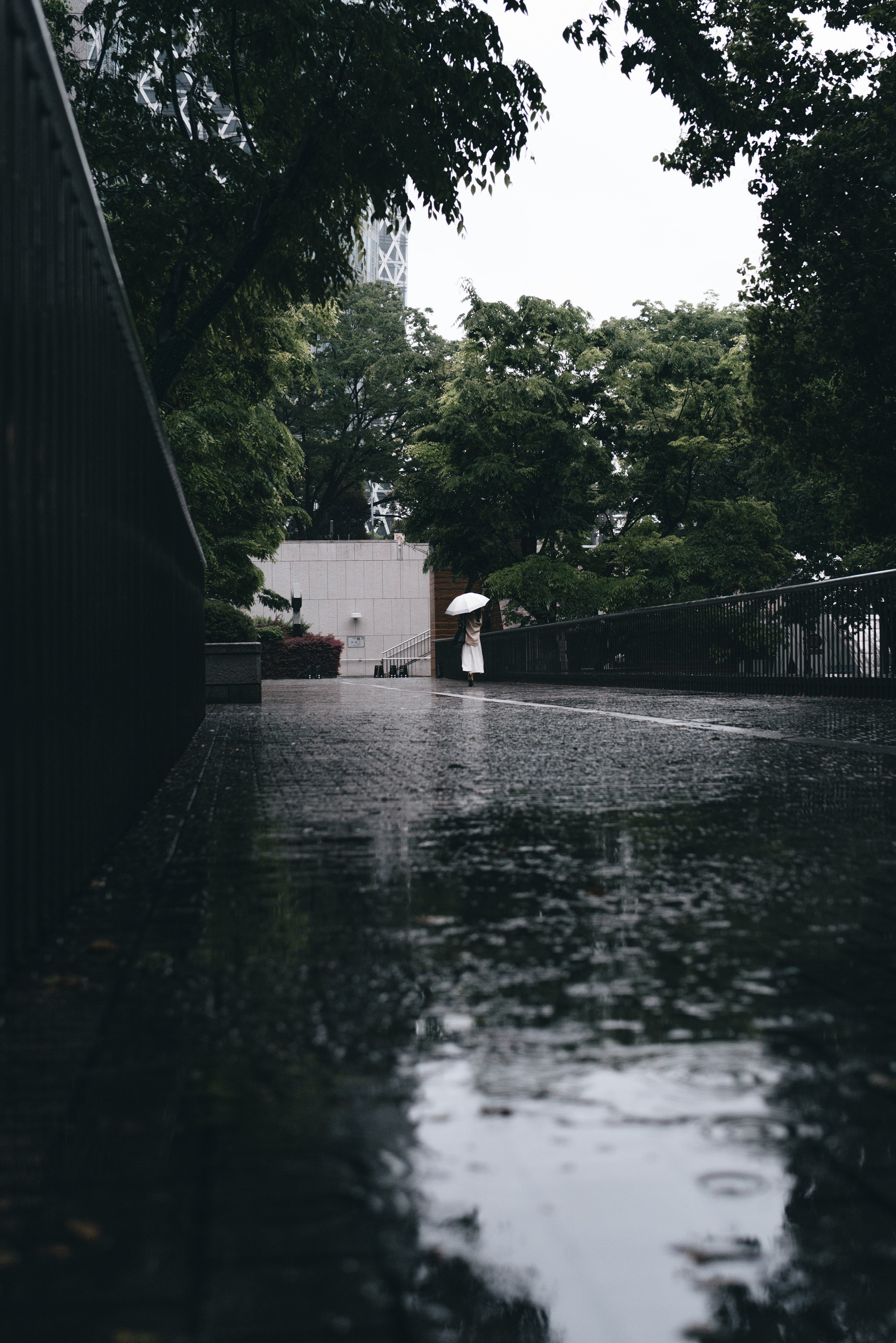 Un camino mojado que refleja la vegetación bajo la lluvia