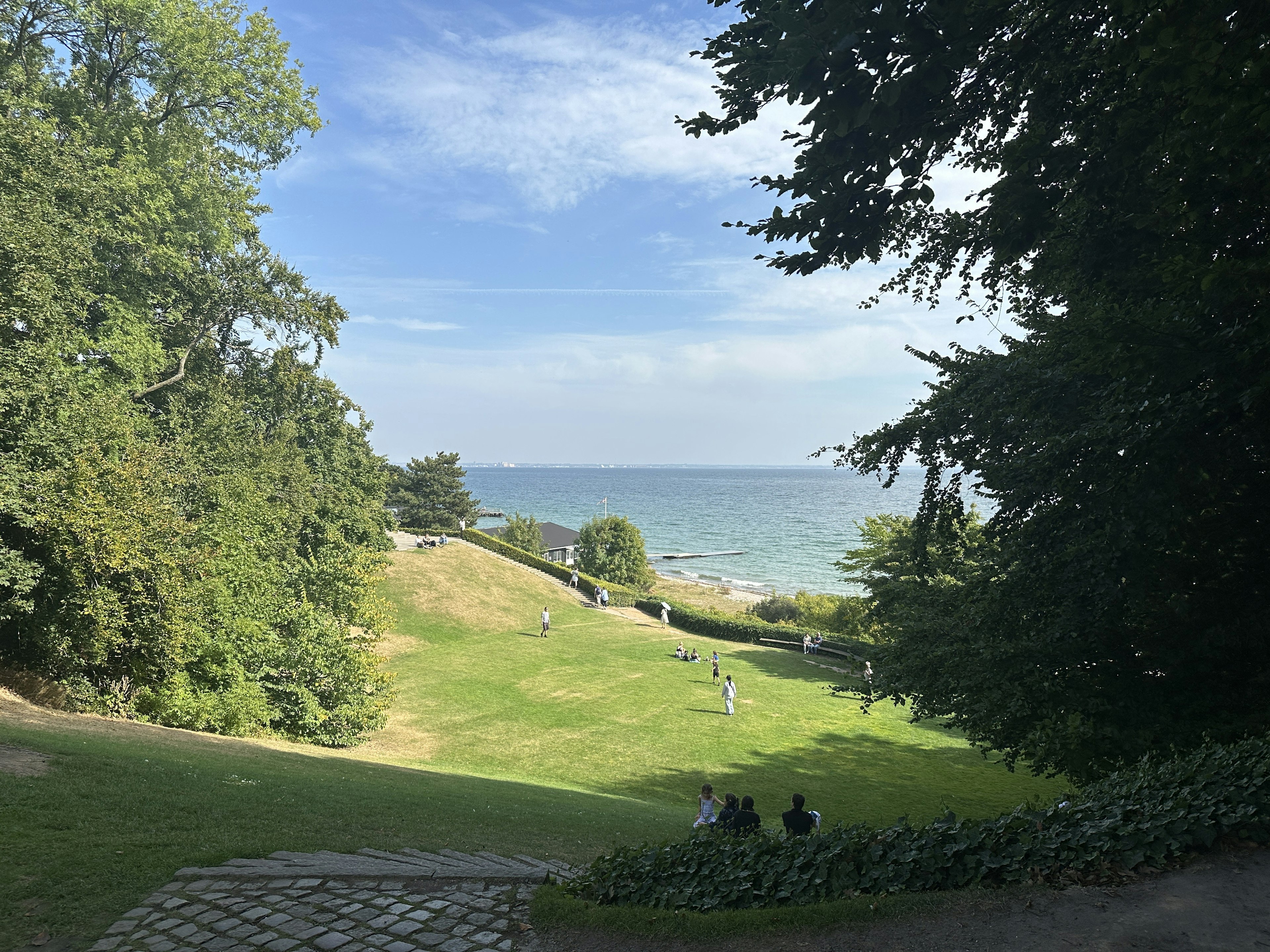 通往藍色海洋的綠色山坡的風景