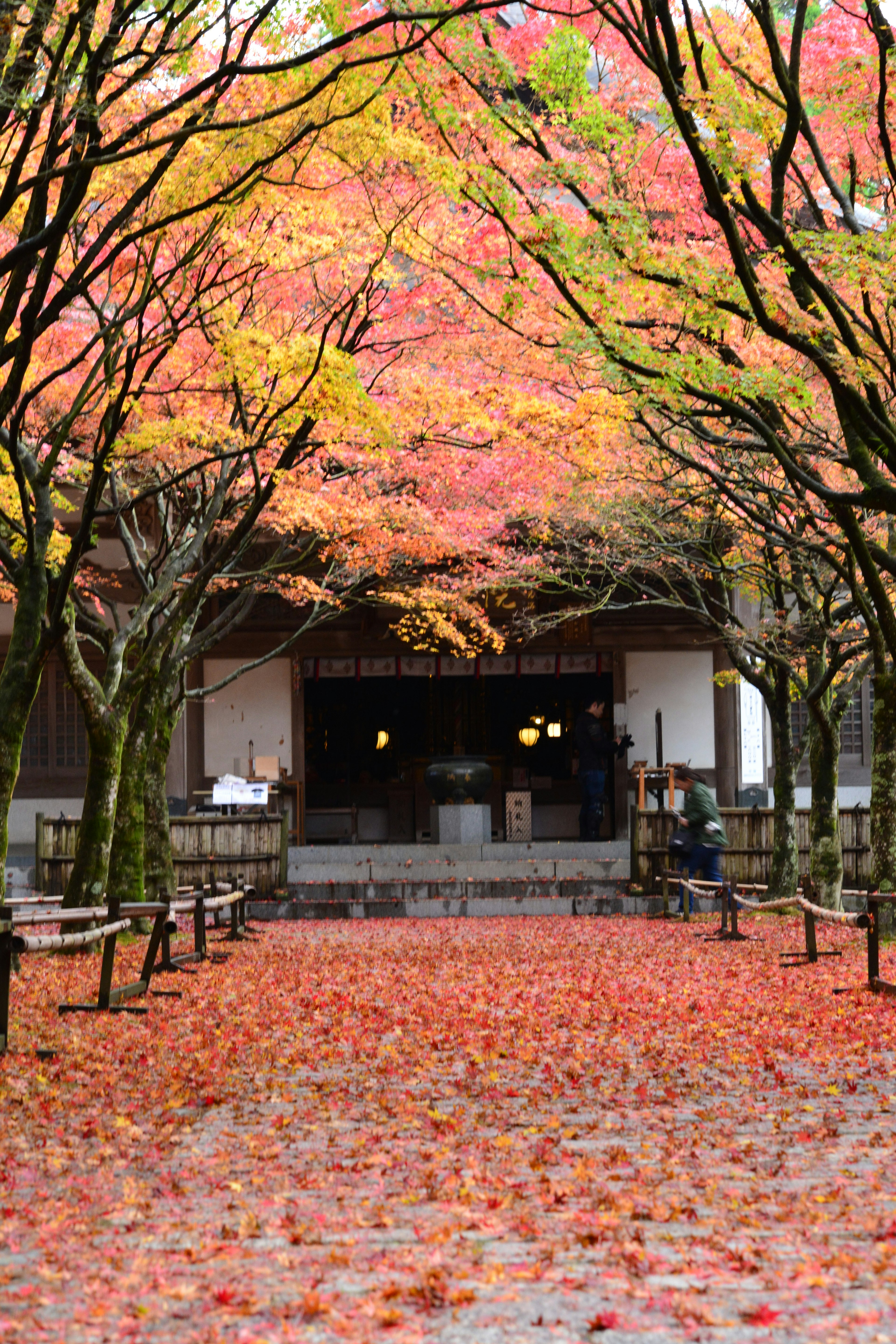 秋の紅葉に囲まれた美しい庭園の通路と伝統的な建物