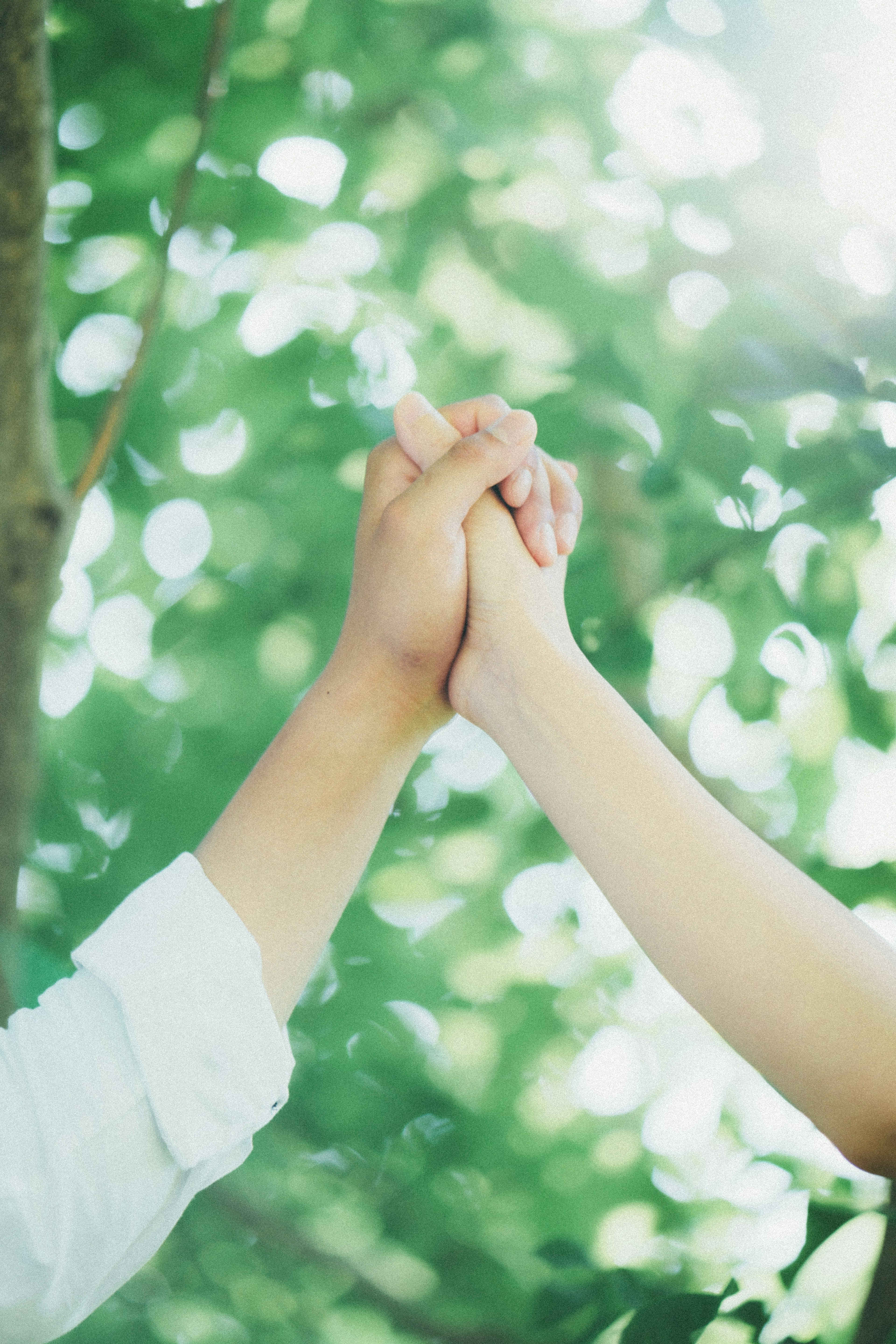 Two hands clasped together against a green background