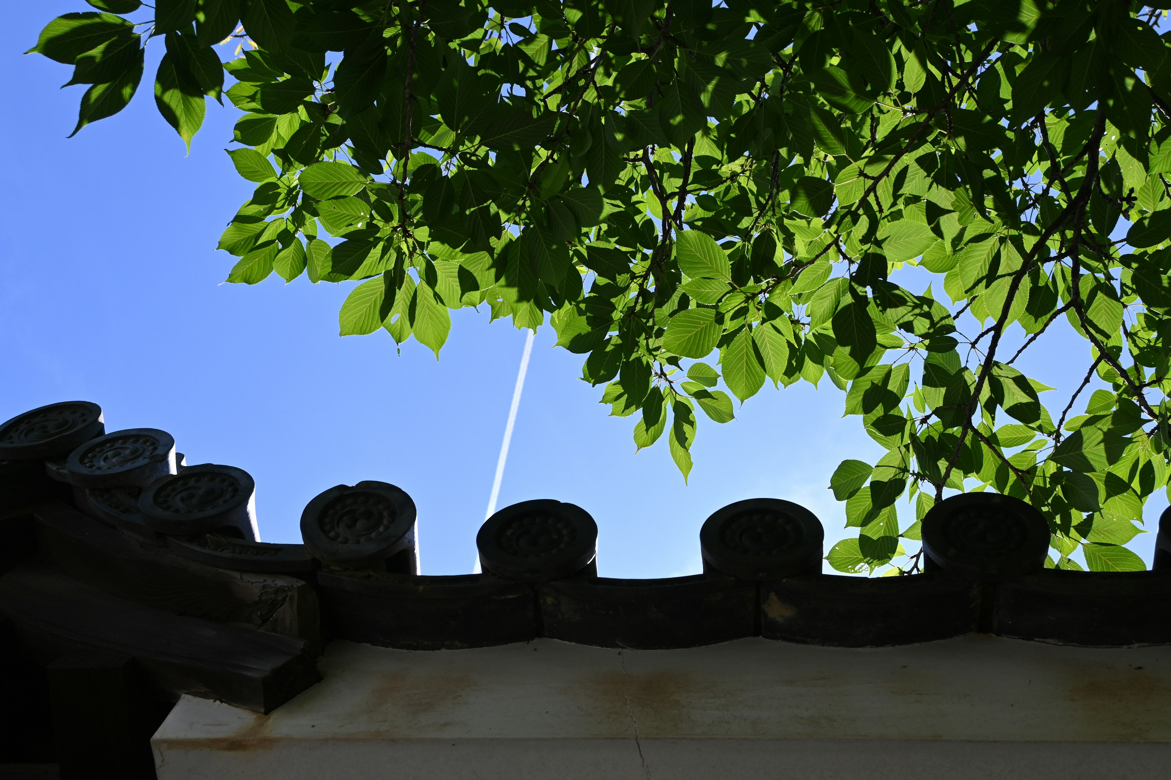 Silhouette of a roof with green leaves against a blue sky