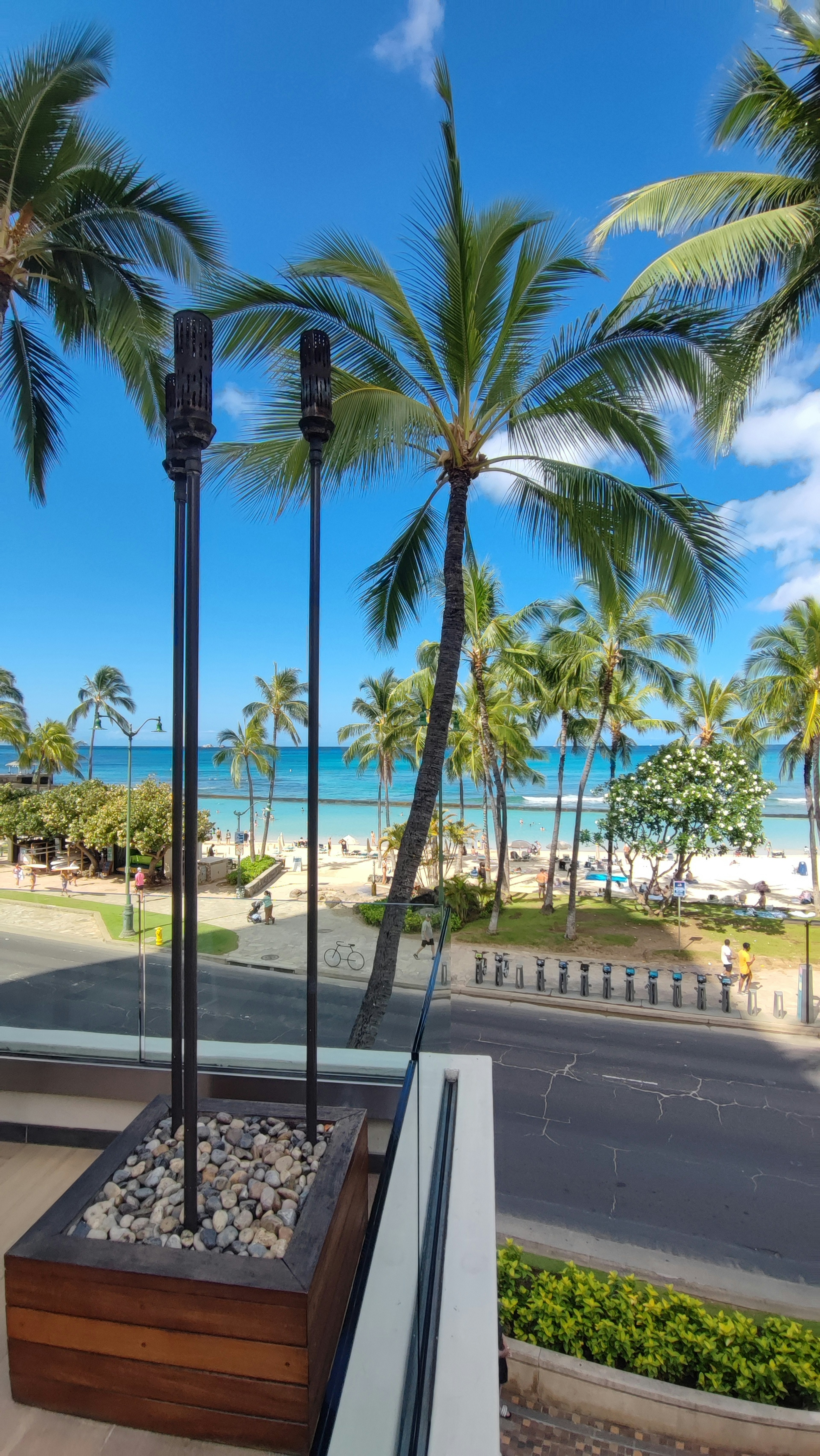 Vue panoramique depuis un balcon avec des palmiers et l'océan