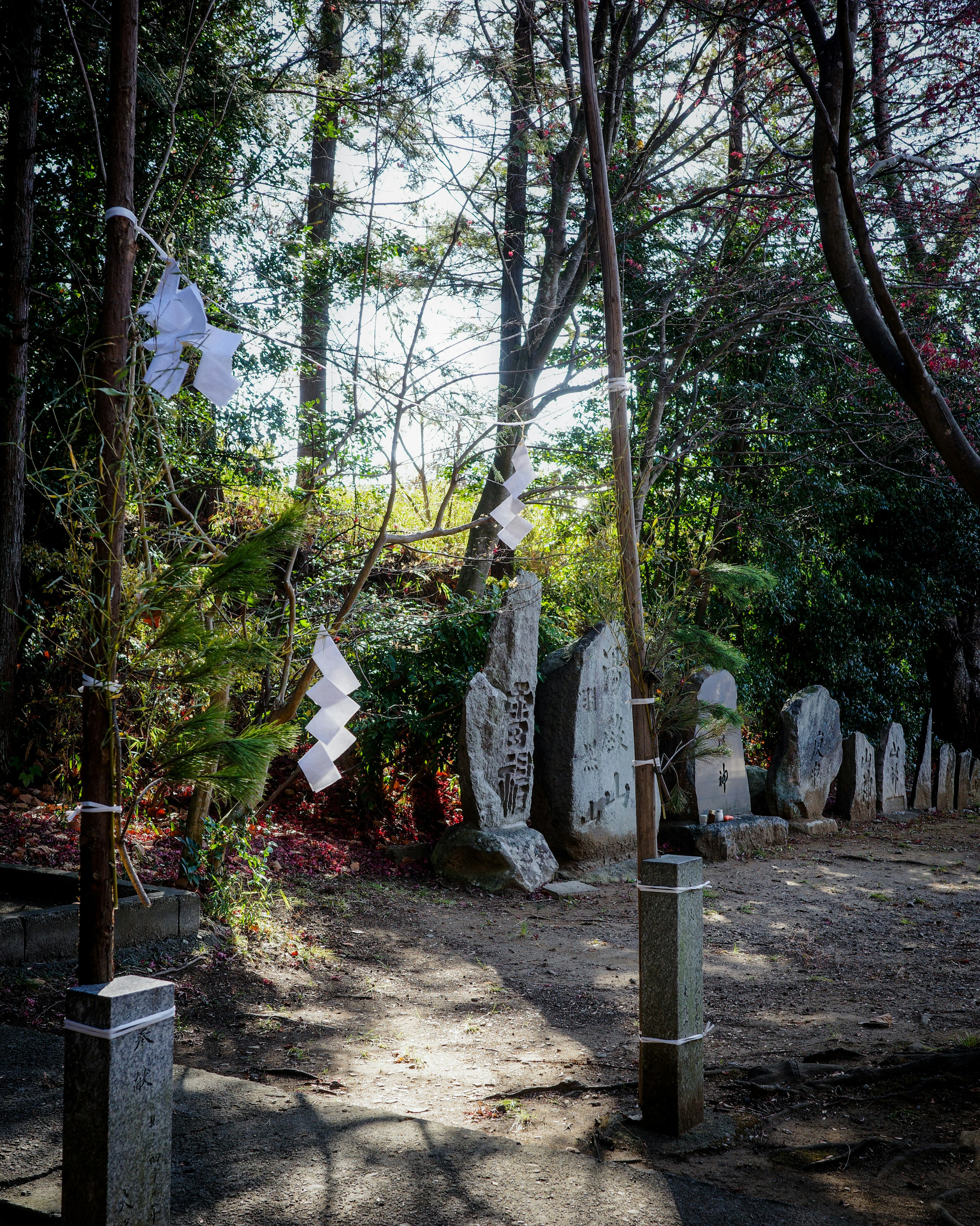 A serene pathway surrounded by green trees and stone monuments adorned with white shimenawa