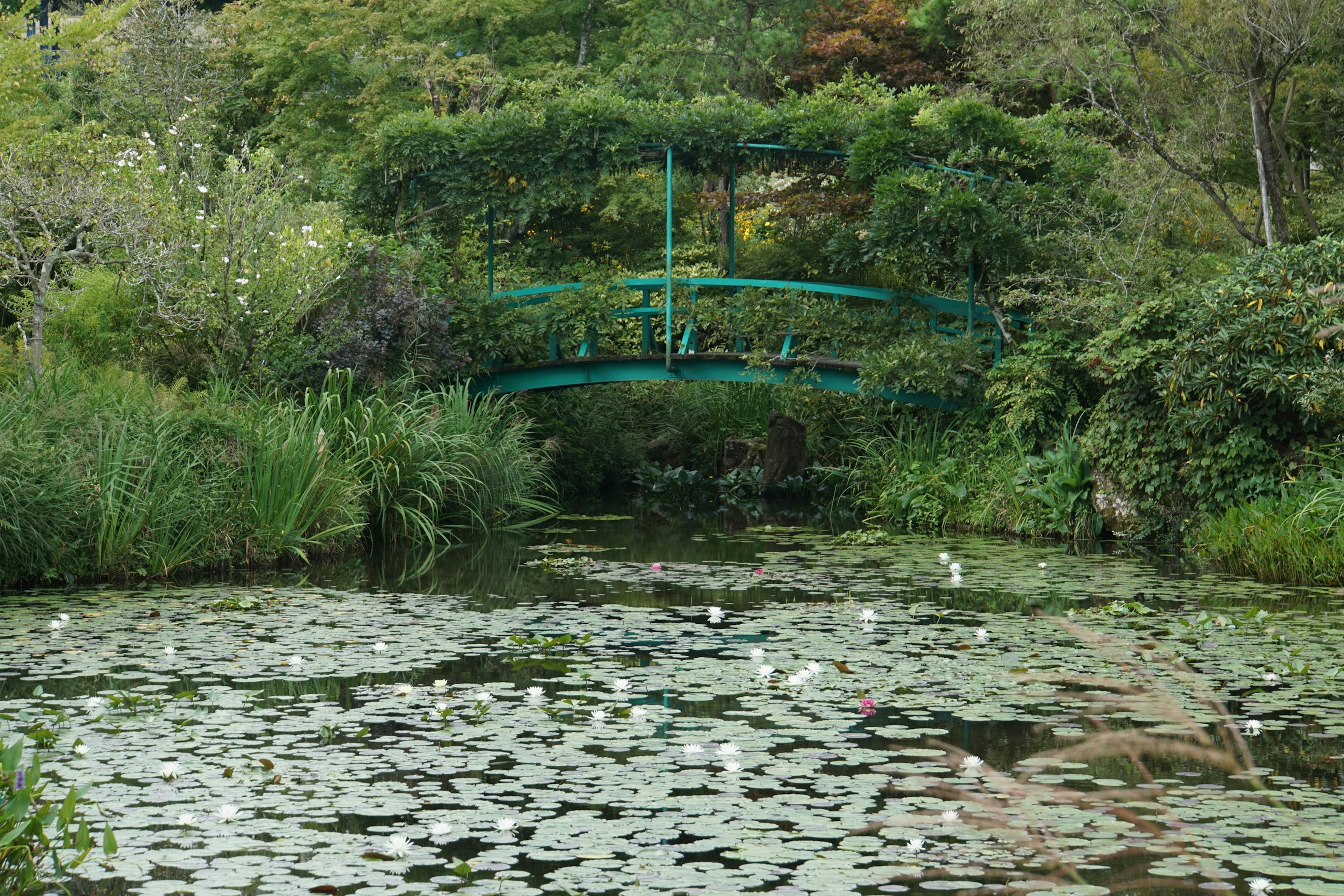 A serene pond featuring a green bridge and lily pads on the water's surface