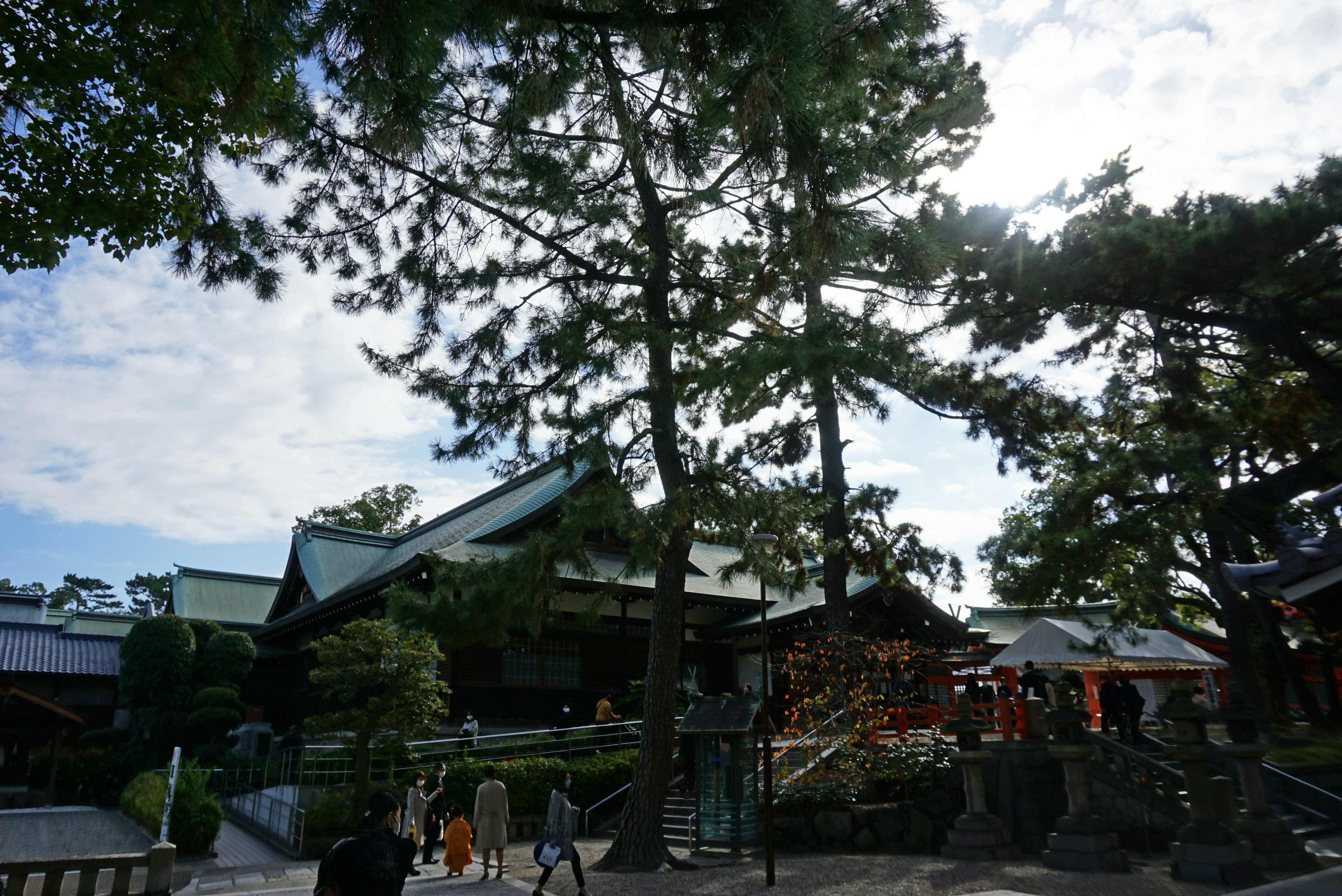 Panoramablick auf einen Schrein mit einem großen Kiefernbaum unter blauem Himmel