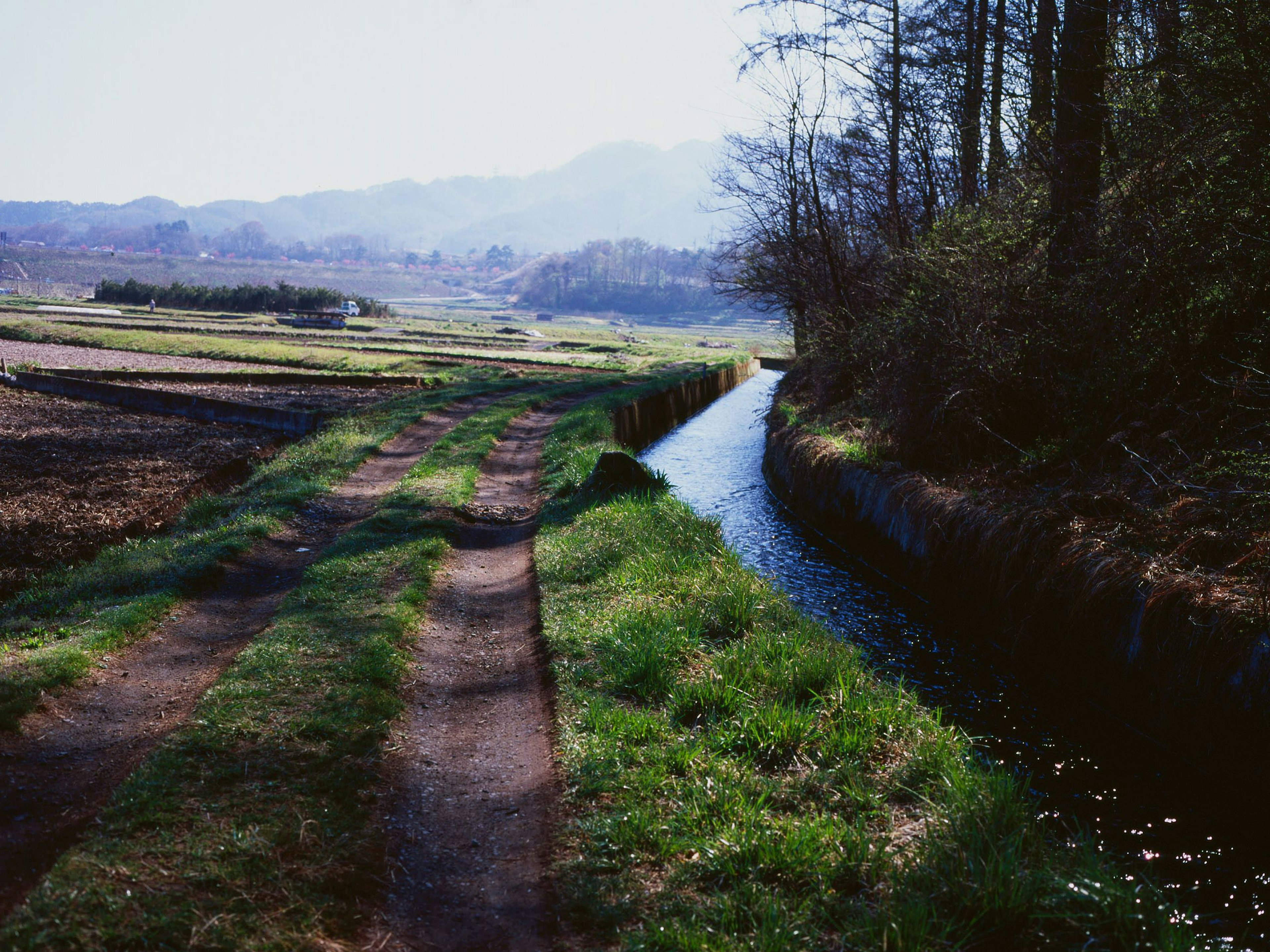 緑の草地と小川が流れる風景 田舎の道と遠くの山々