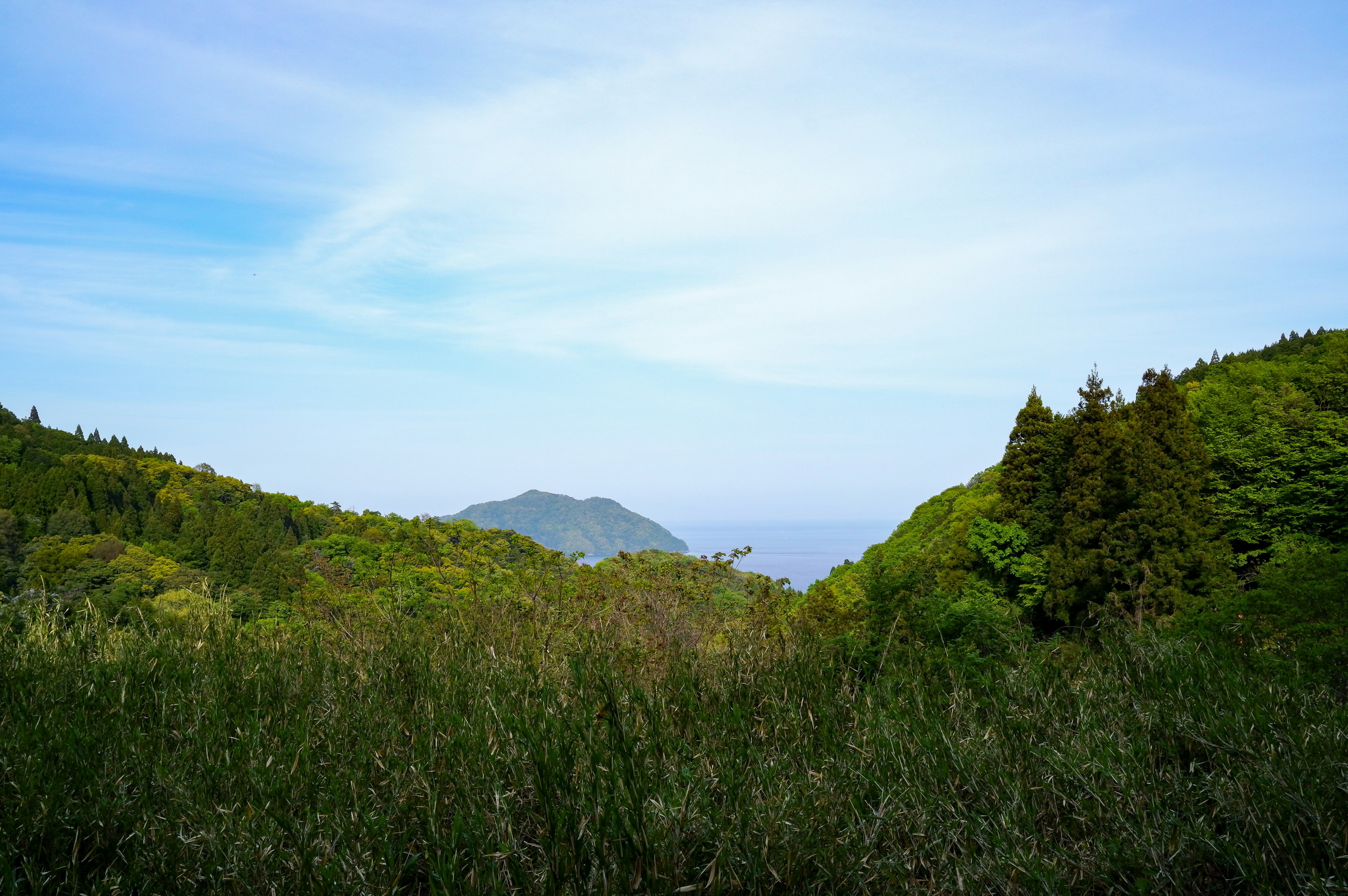 郁郁葱葱的绿色山脉和蓝天的风景，远处可见海洋