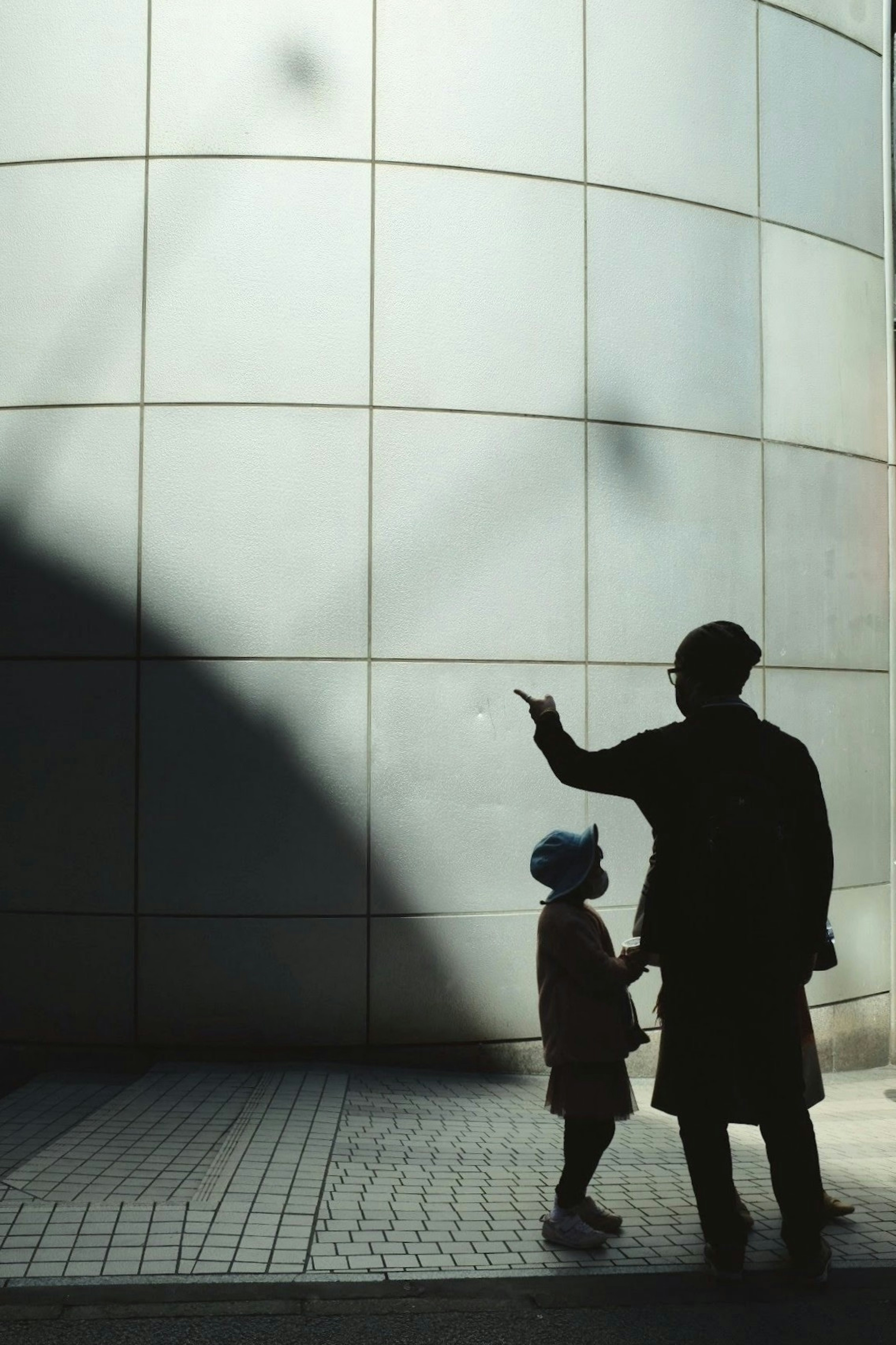 Silhouette of an adult pointing and a child holding their hand