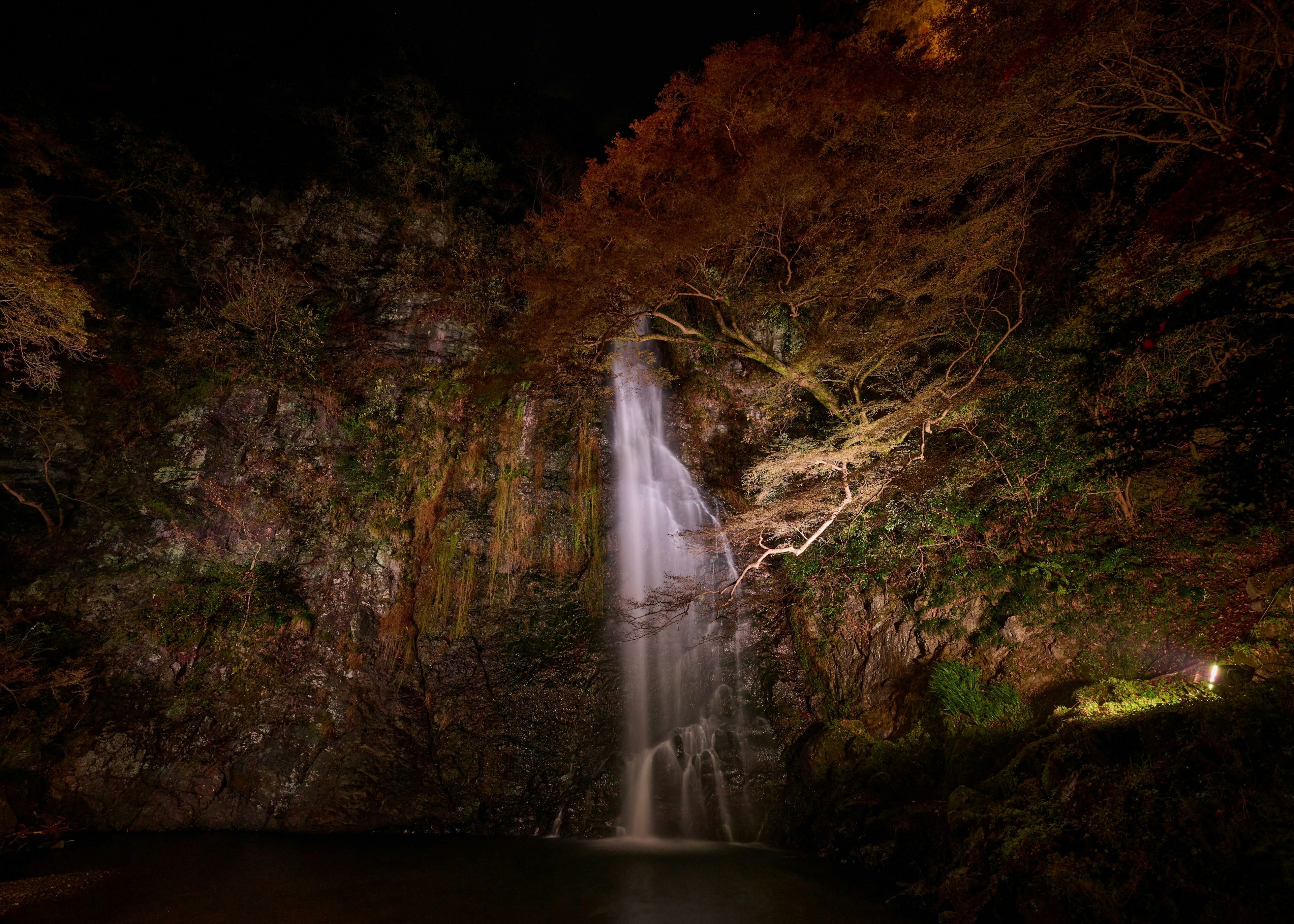 夜の滝と周囲の紅葉した木々の風景