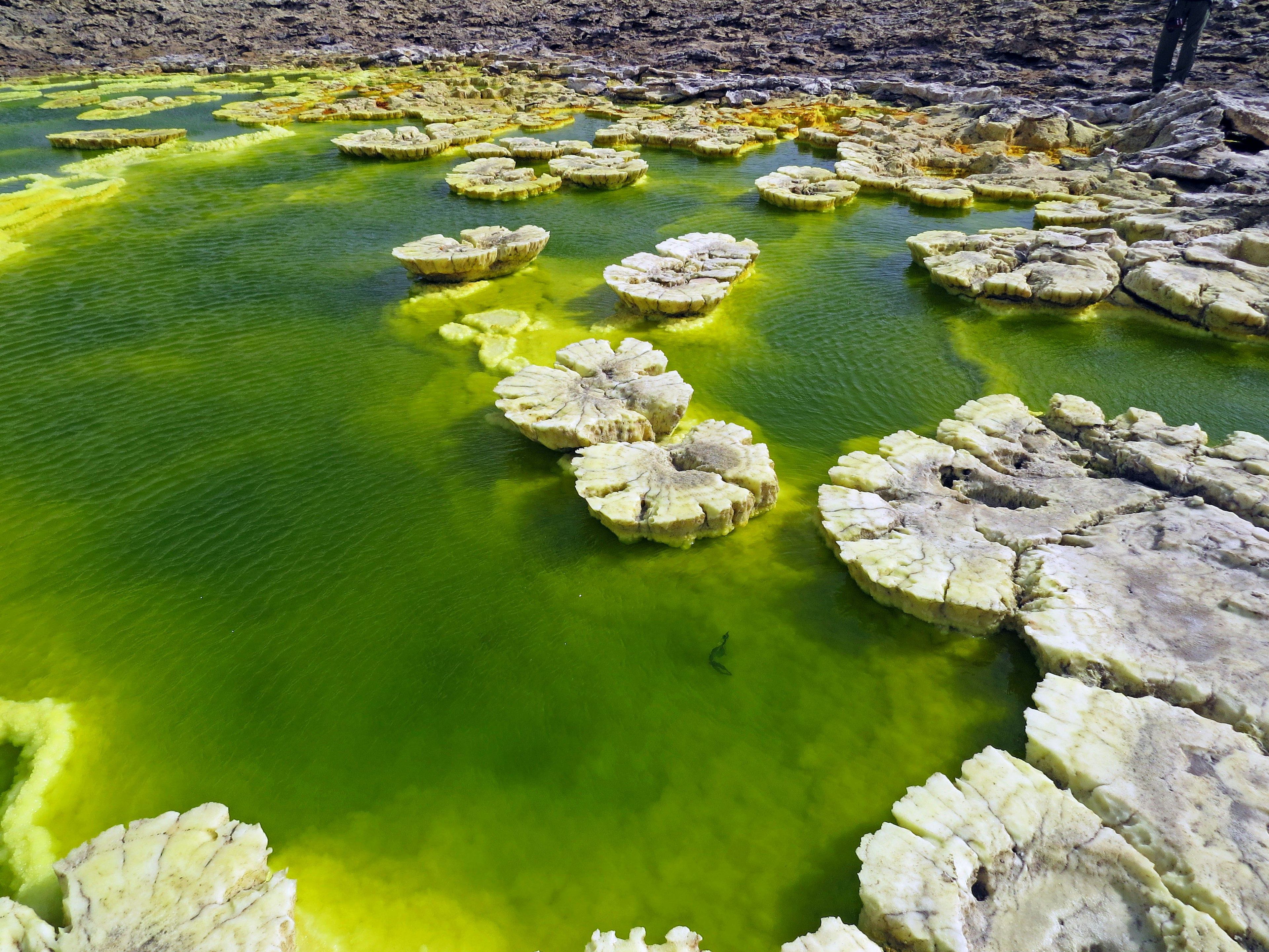 Paisaje con agua verde y formaciones rocosas blancas