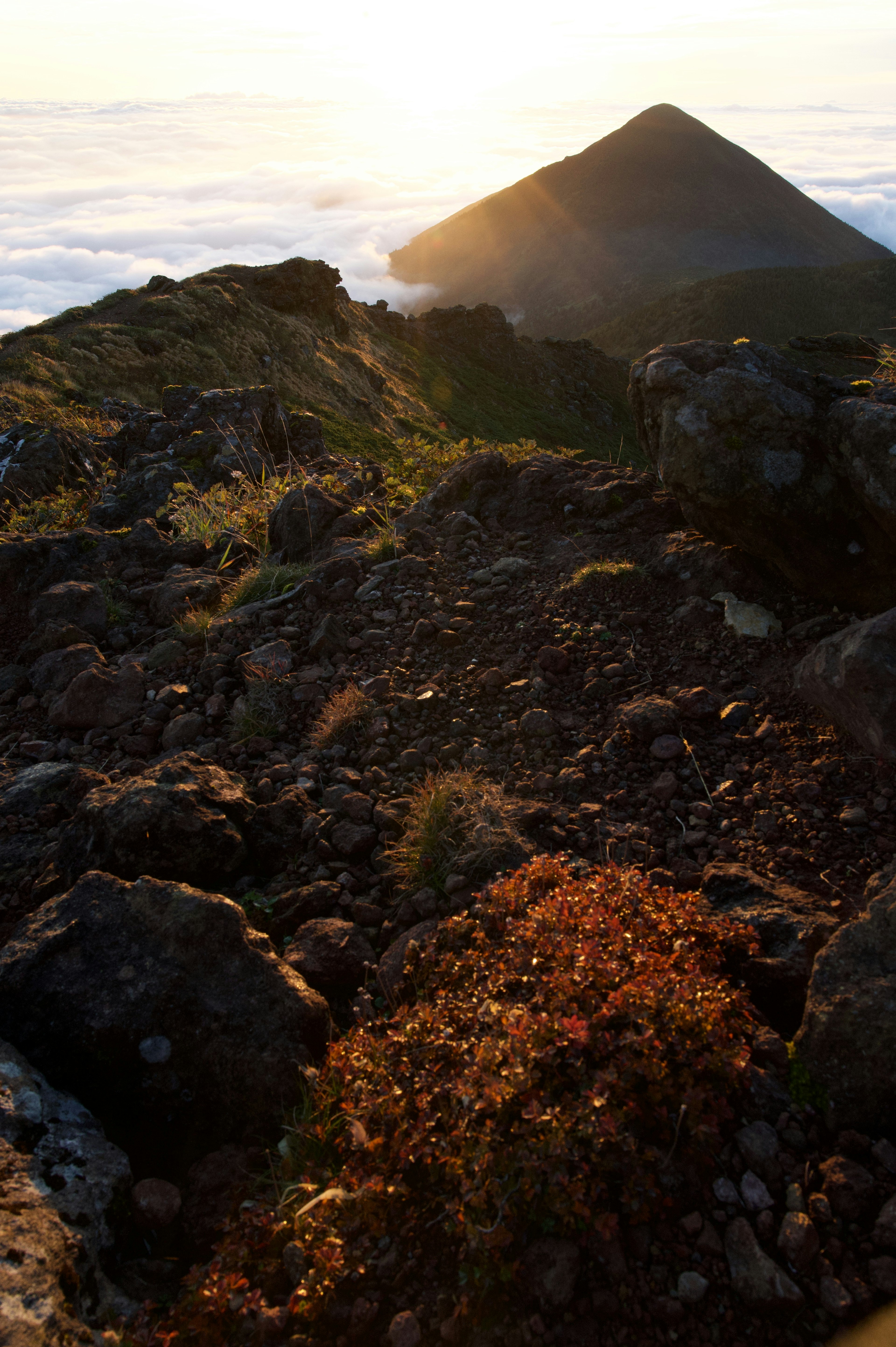 夕陽照亮的山道景色，岩石和草叢