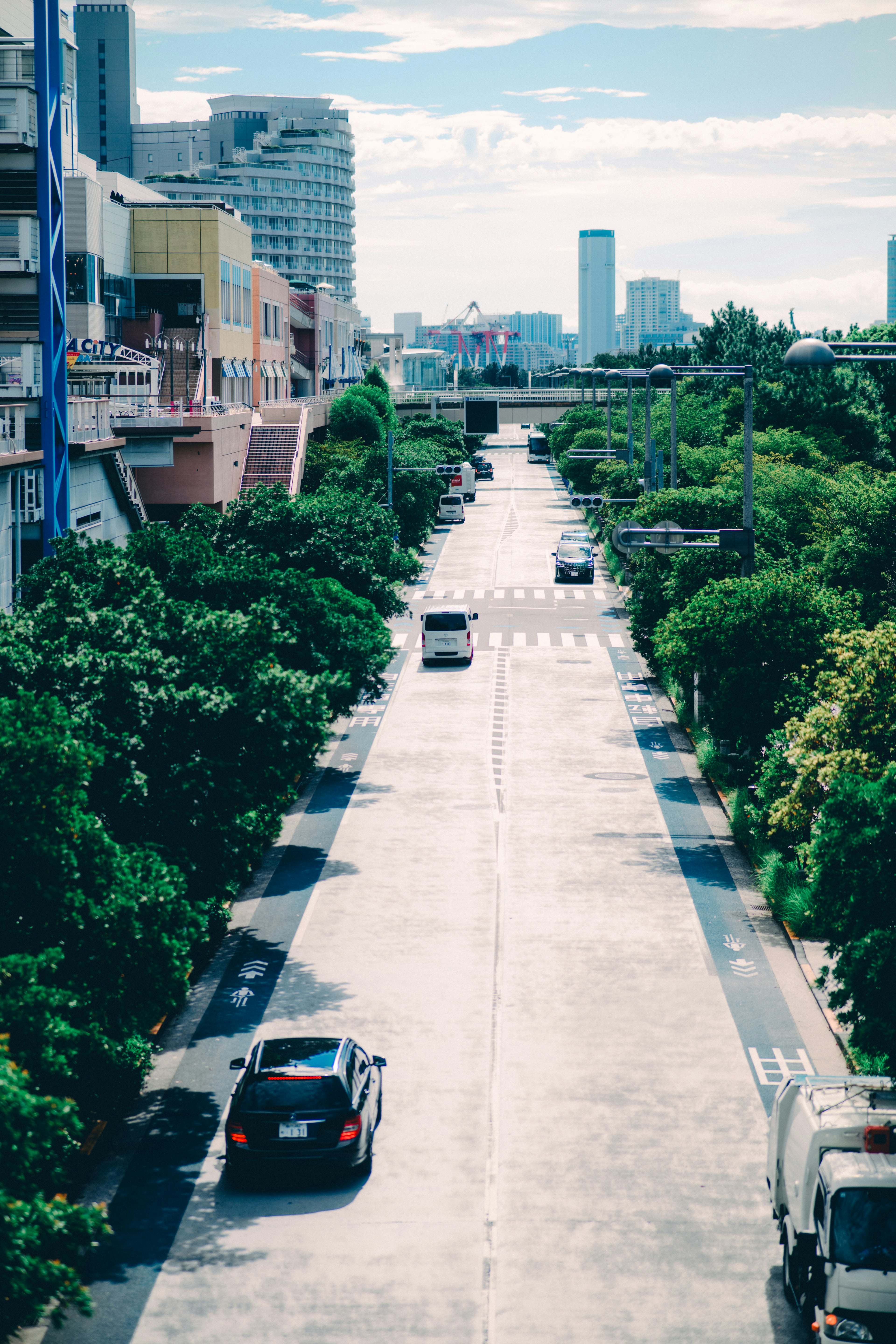 緑豊かな街並みの通りを走る車々と高層ビルの背景