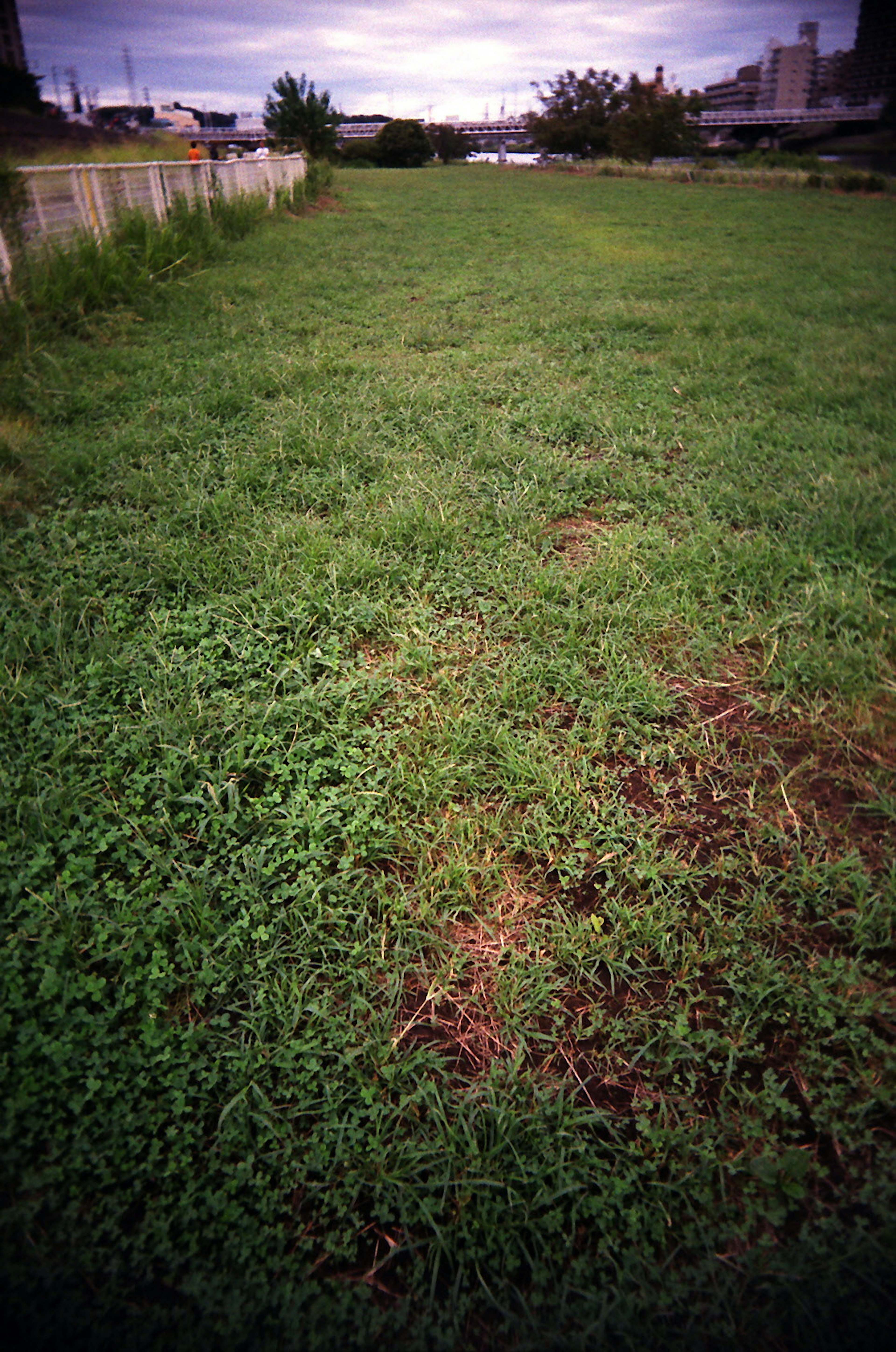 Champ d'herbe verte sous un ciel nuageux