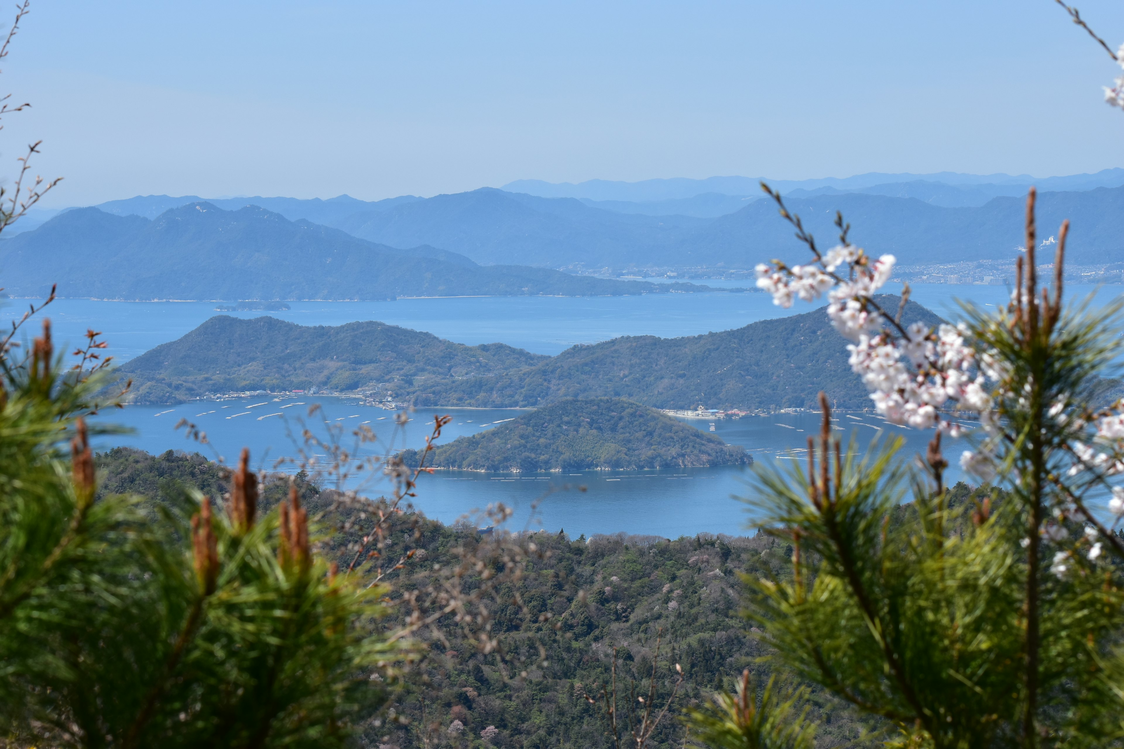 Vue panoramique de montagnes et de mer avec des cerisiers en fleurs