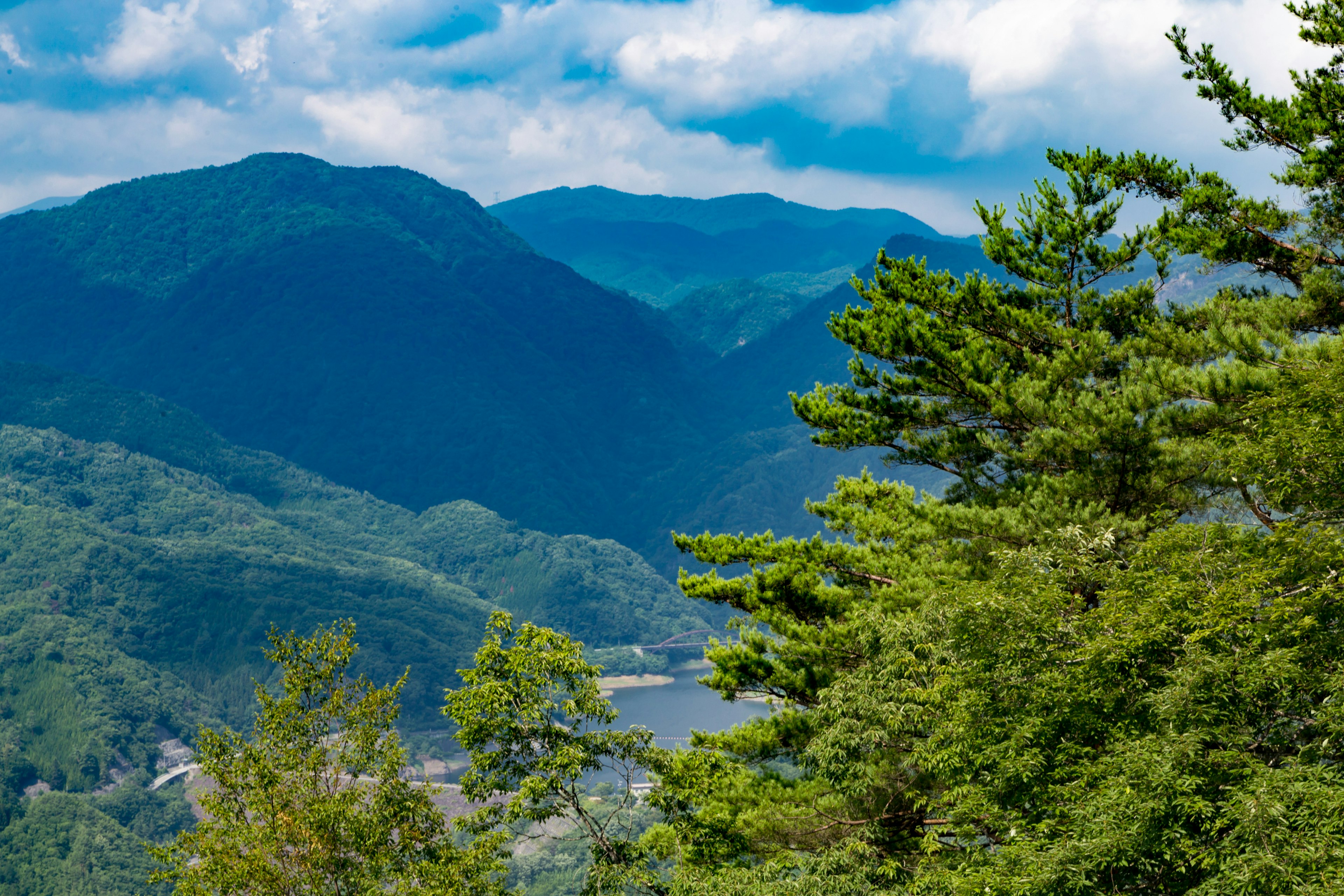 Vista panoramica di alberi verdi e montagne blu sotto un cielo nuvoloso