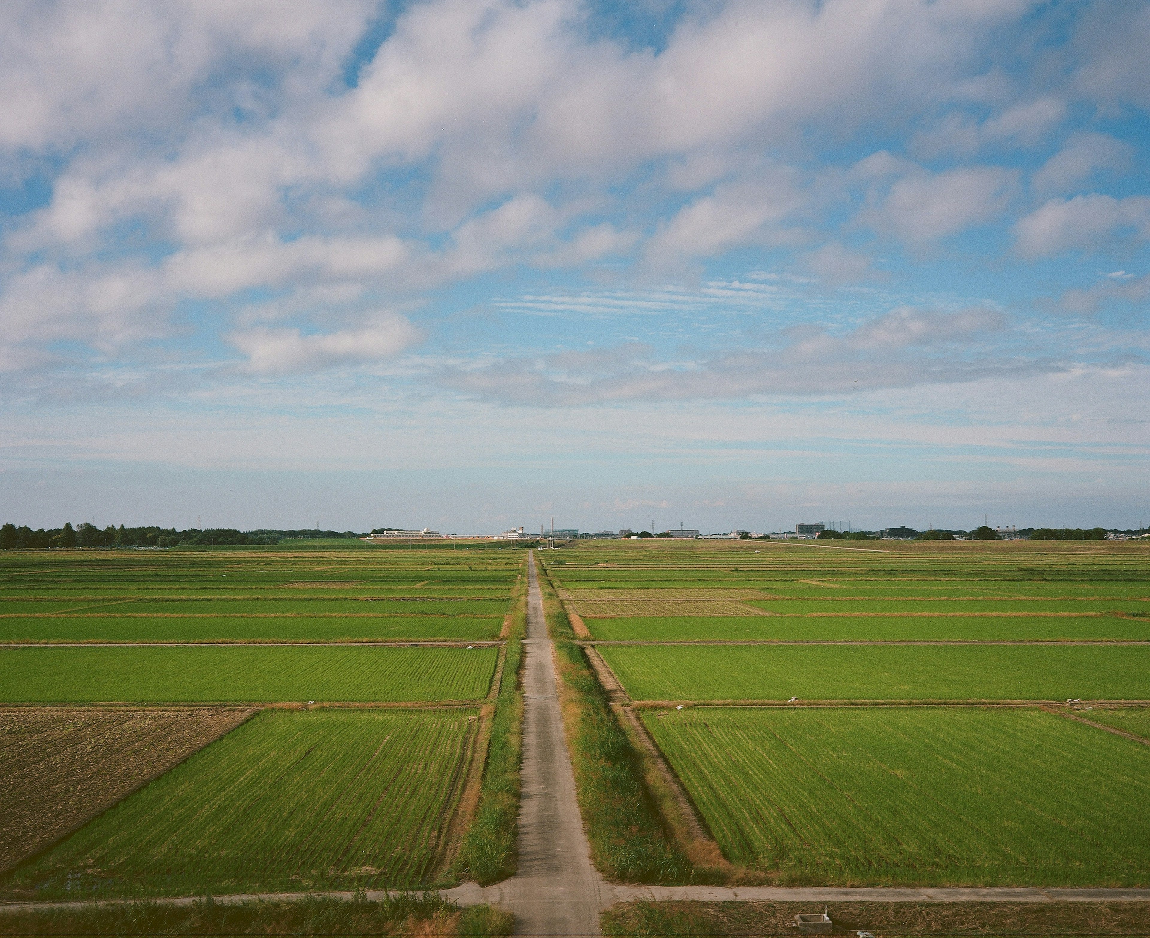 青い空と雲の下に広がる緑の田んぼと農道の風景