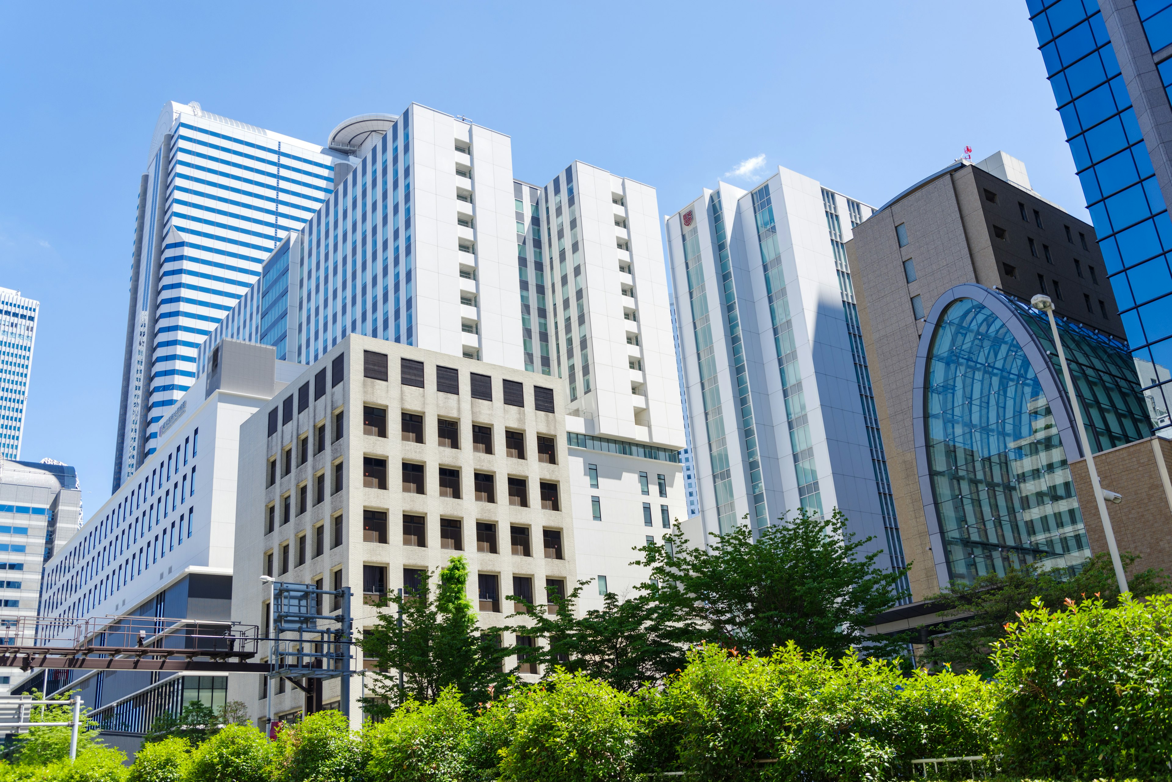 近代的なビルが立ち並ぶ都市景観、青空と緑の植栽が調和する風景