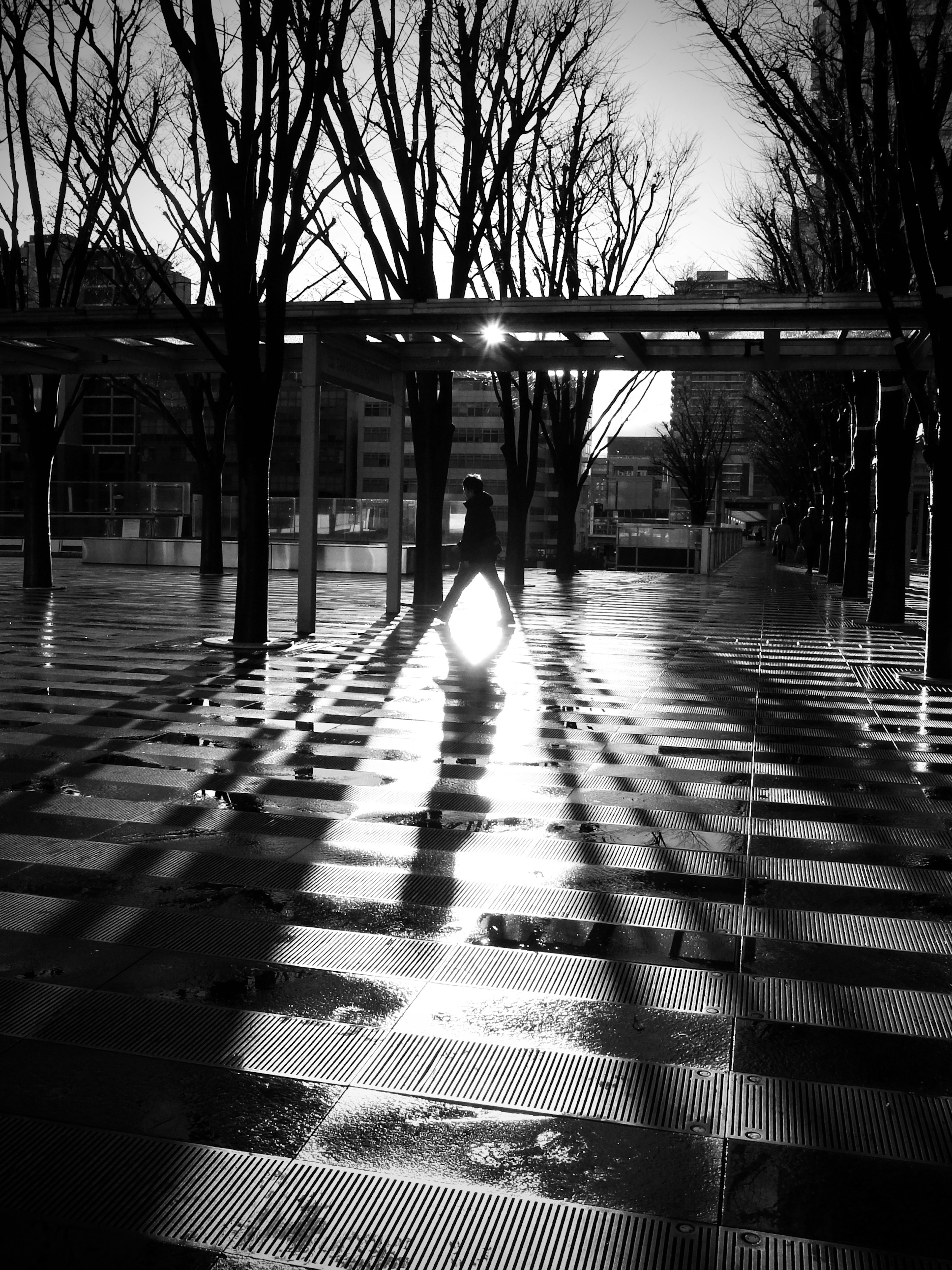 Scène de parc en noir et blanc avec de longues ombres projetées sur le sol