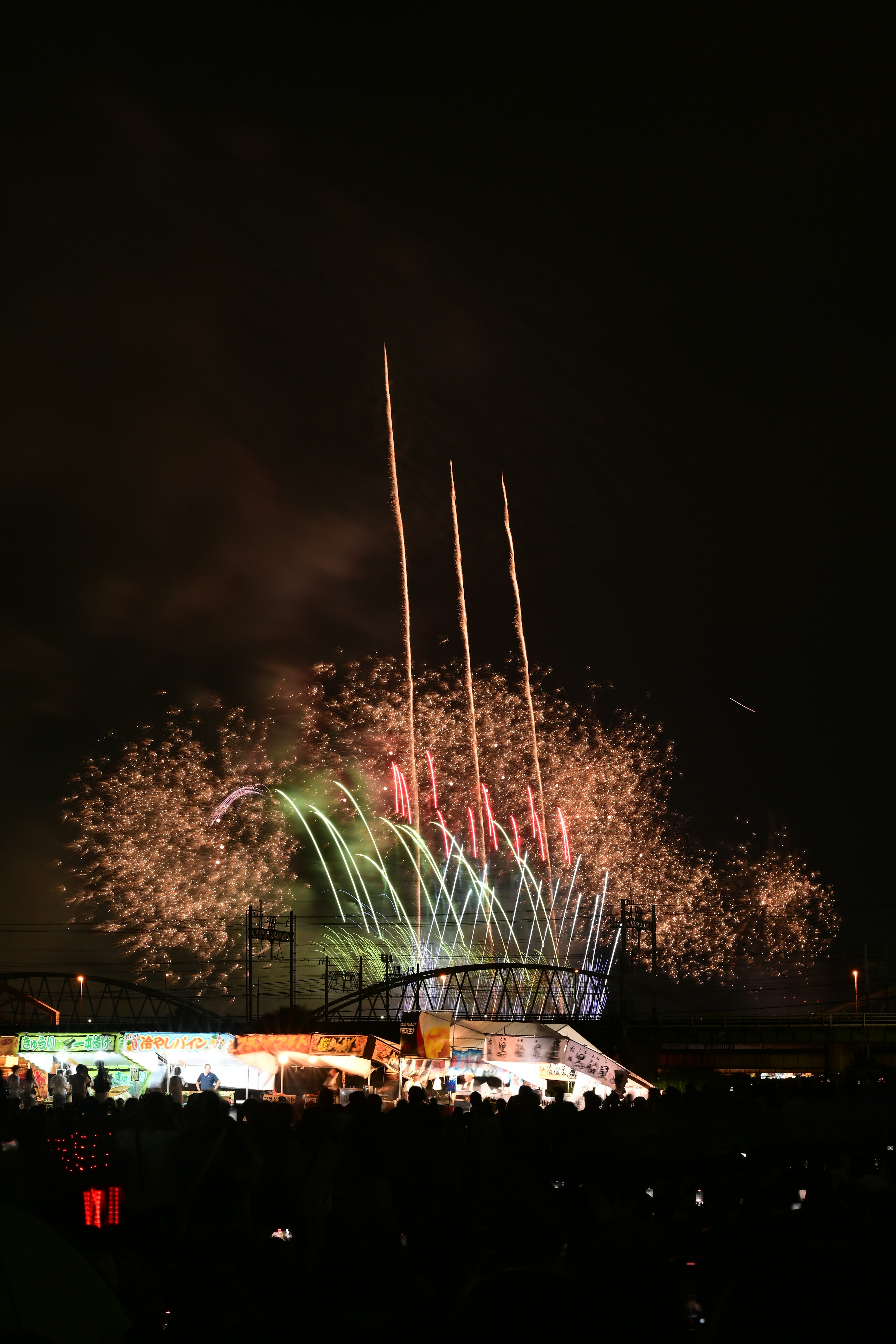 Fuegos artificiales estallando en el cielo nocturno con siluetas de espectadores