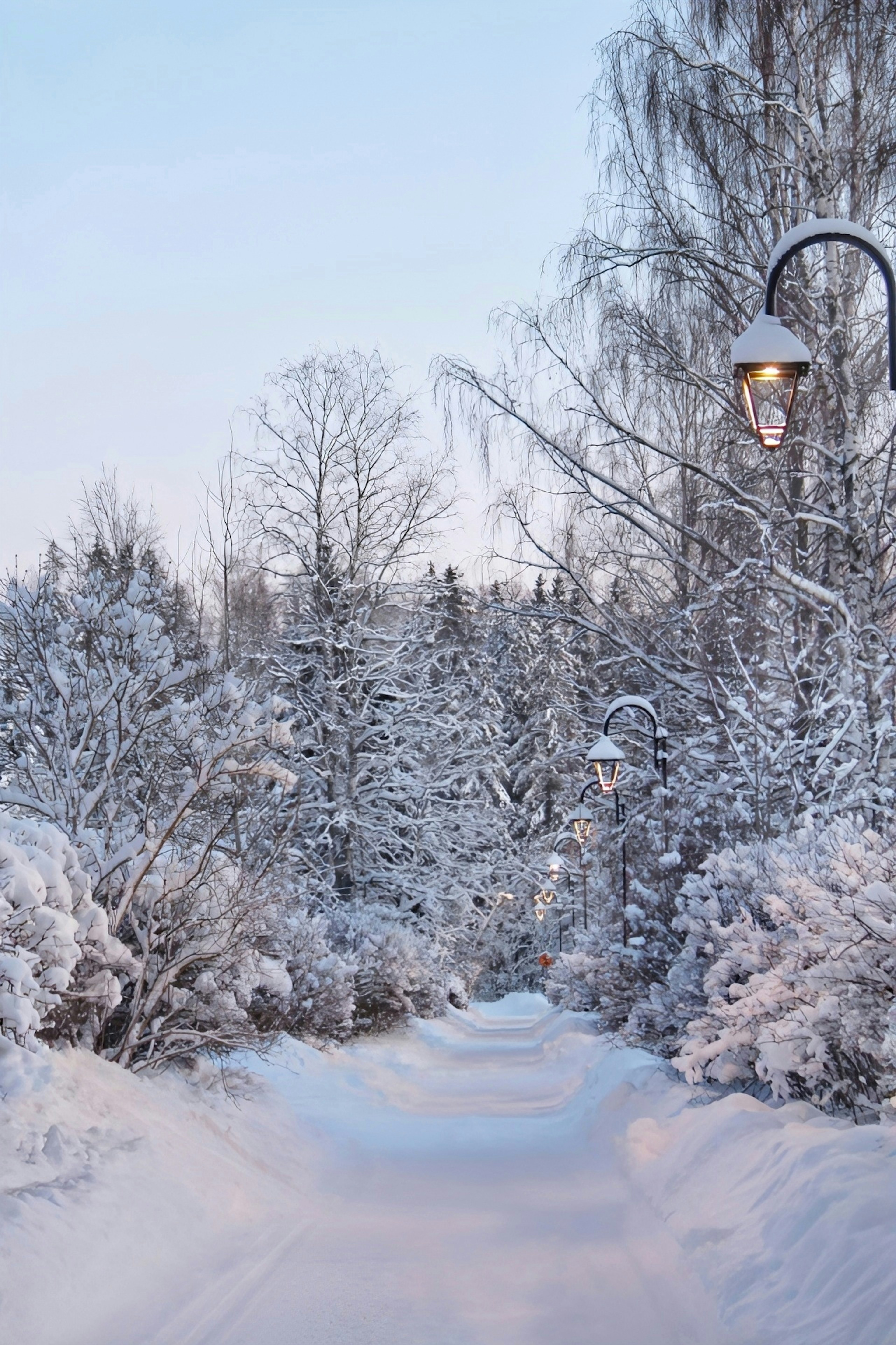 Snow-covered pathway surrounded by trees with a streetlamp