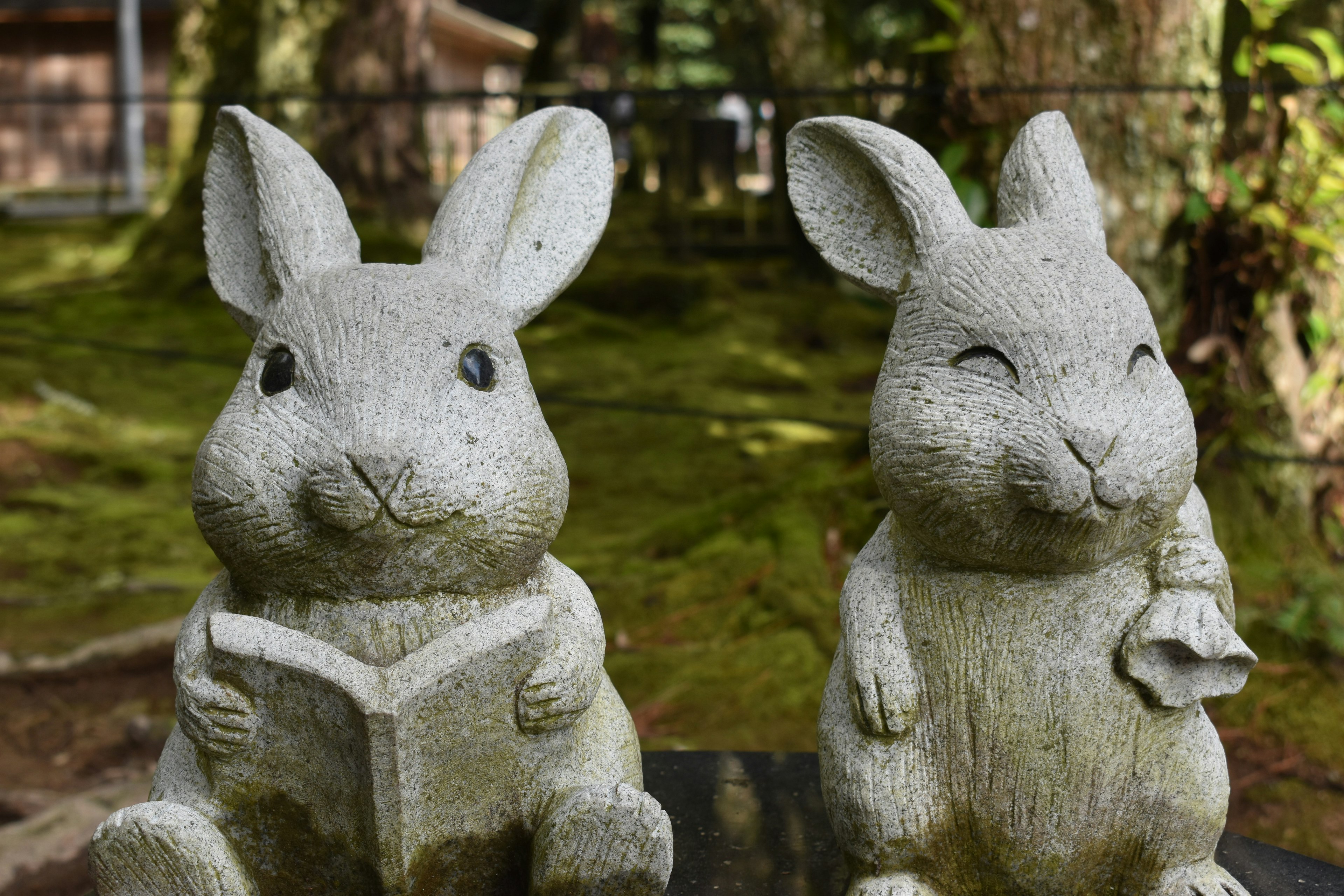 Deux statues de lapins en pierre côte à côte Un lapin tient un livre et l'autre a un petit objet