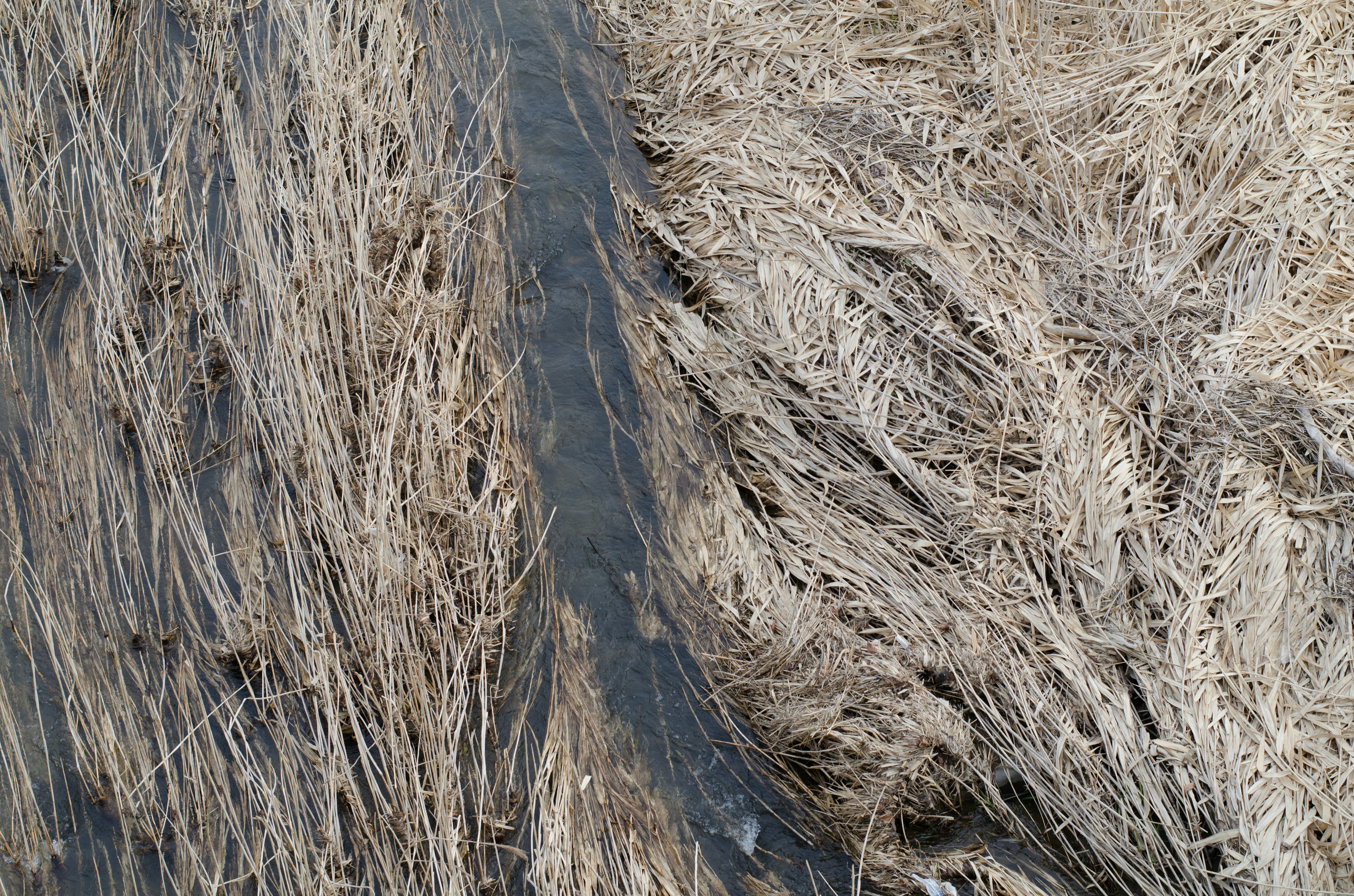 Aerial view of a small stream flowing through dry grasslands