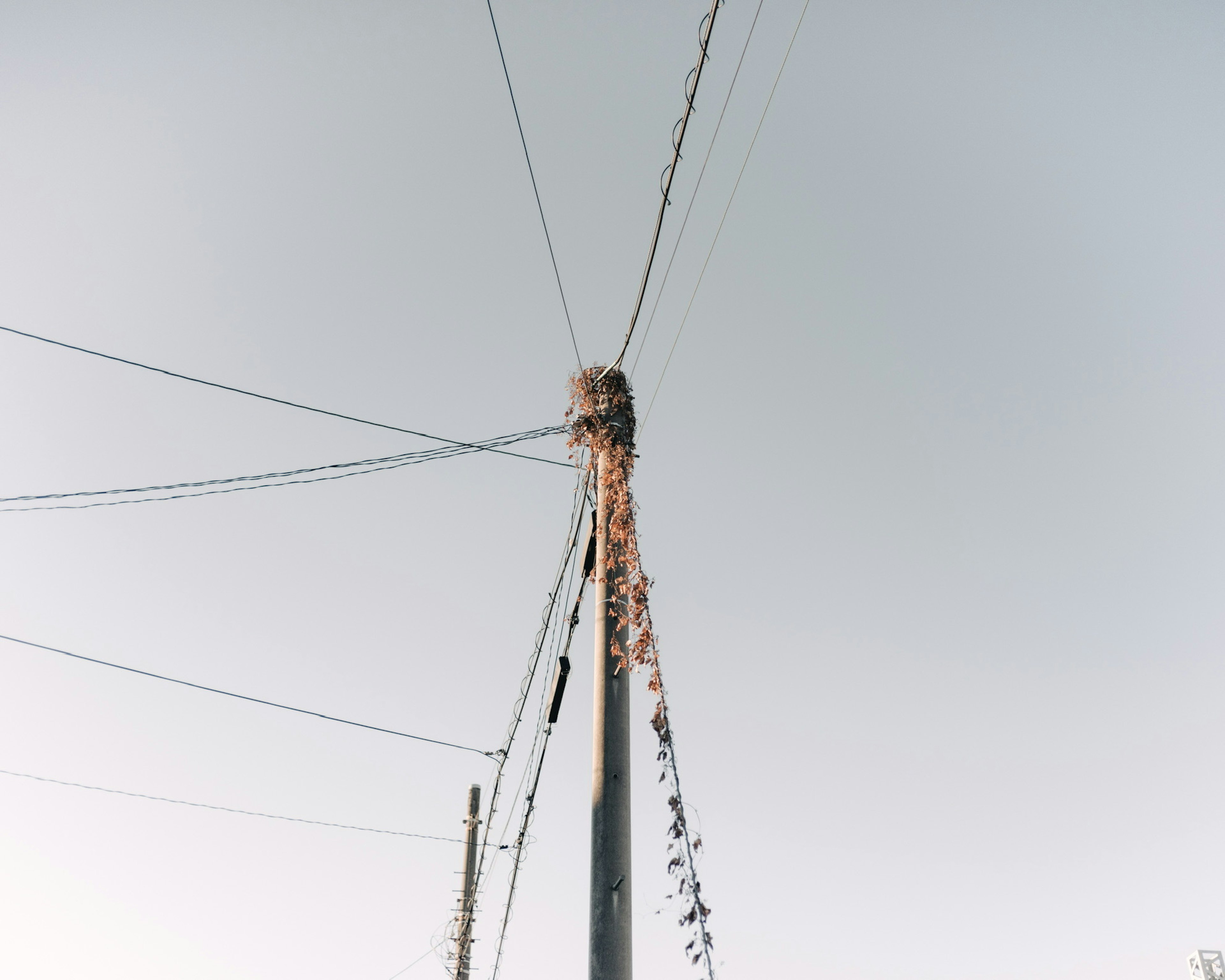 Foto tiang listrik dengan kabel di latar belakang langit