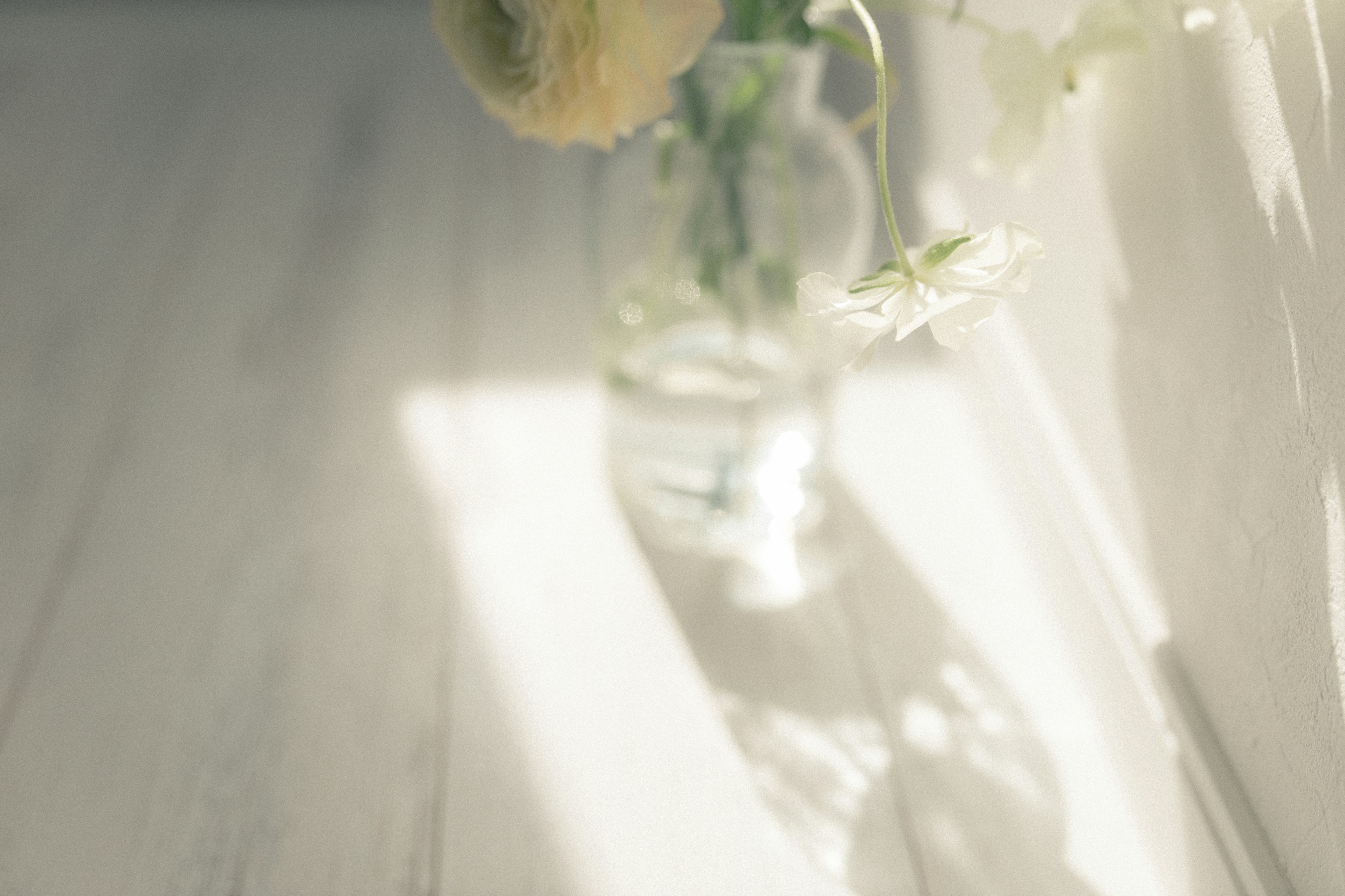 Un fiore dai colori tenui in un vaso che proietta ombre delicate