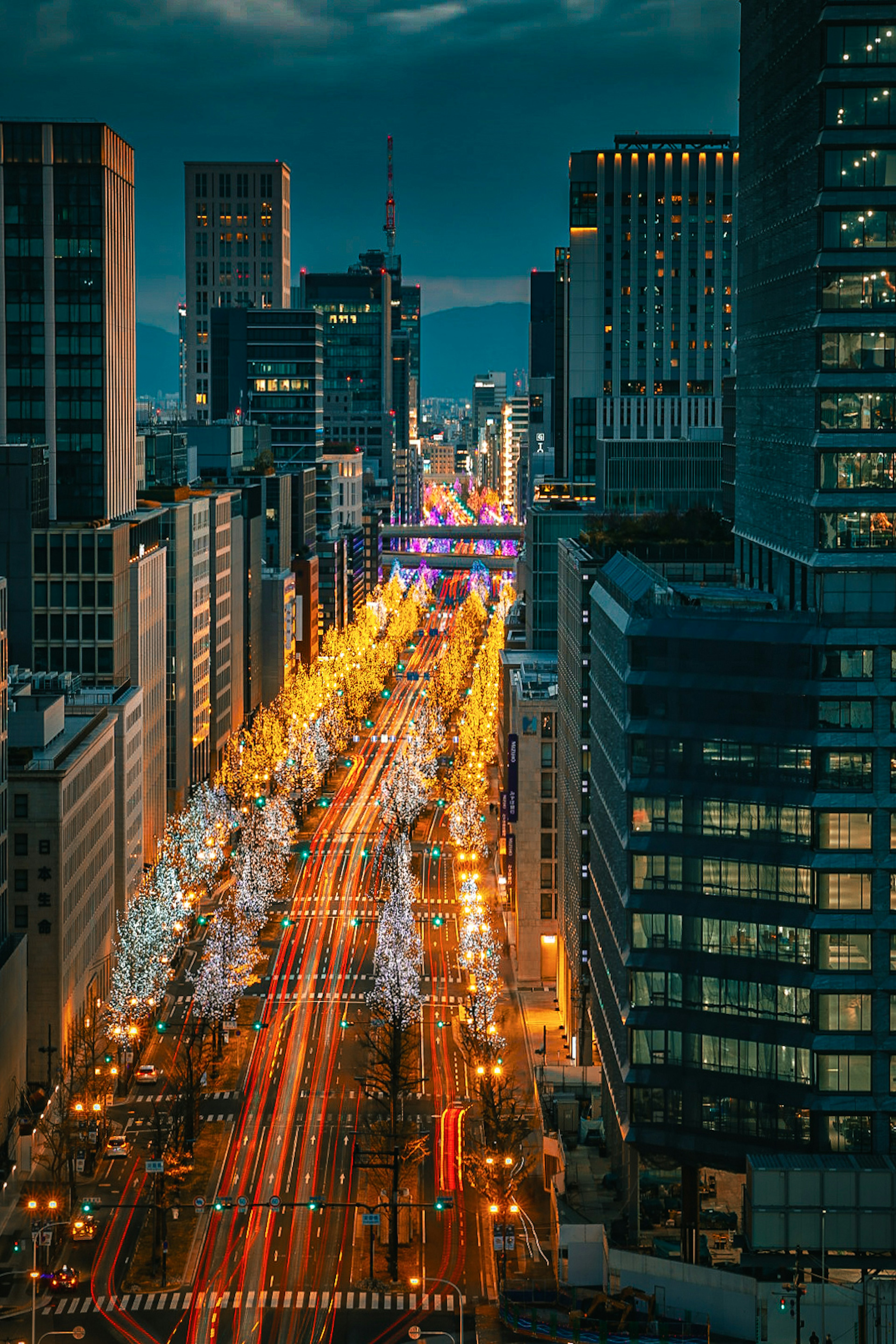 Cityscape at night featuring illuminated streetlights and moving cars