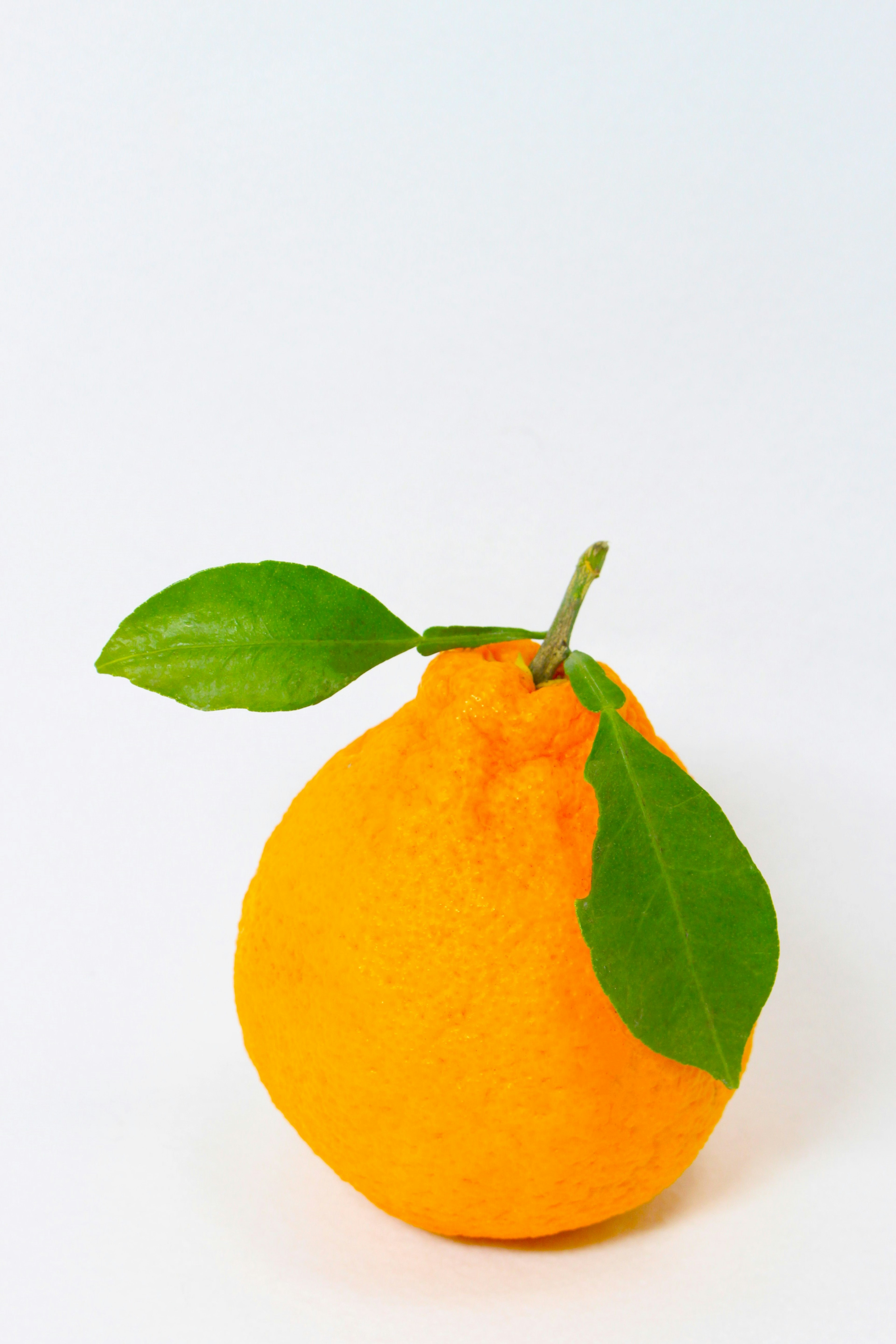 Eine leuchtend orange Frucht mit einem grünen Blatt vor einem einfachen Hintergrund