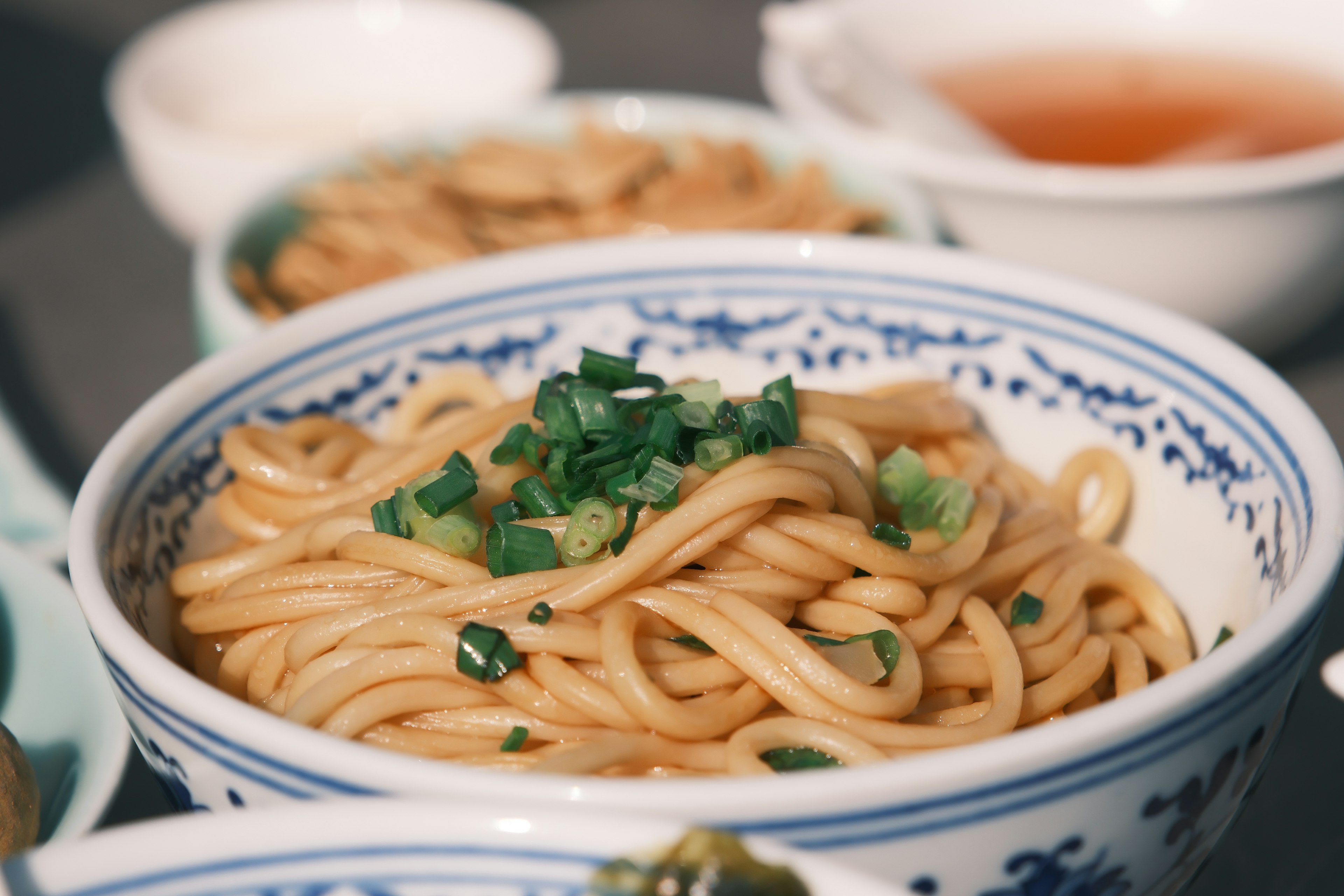 Bowl of noodles topped with green onions