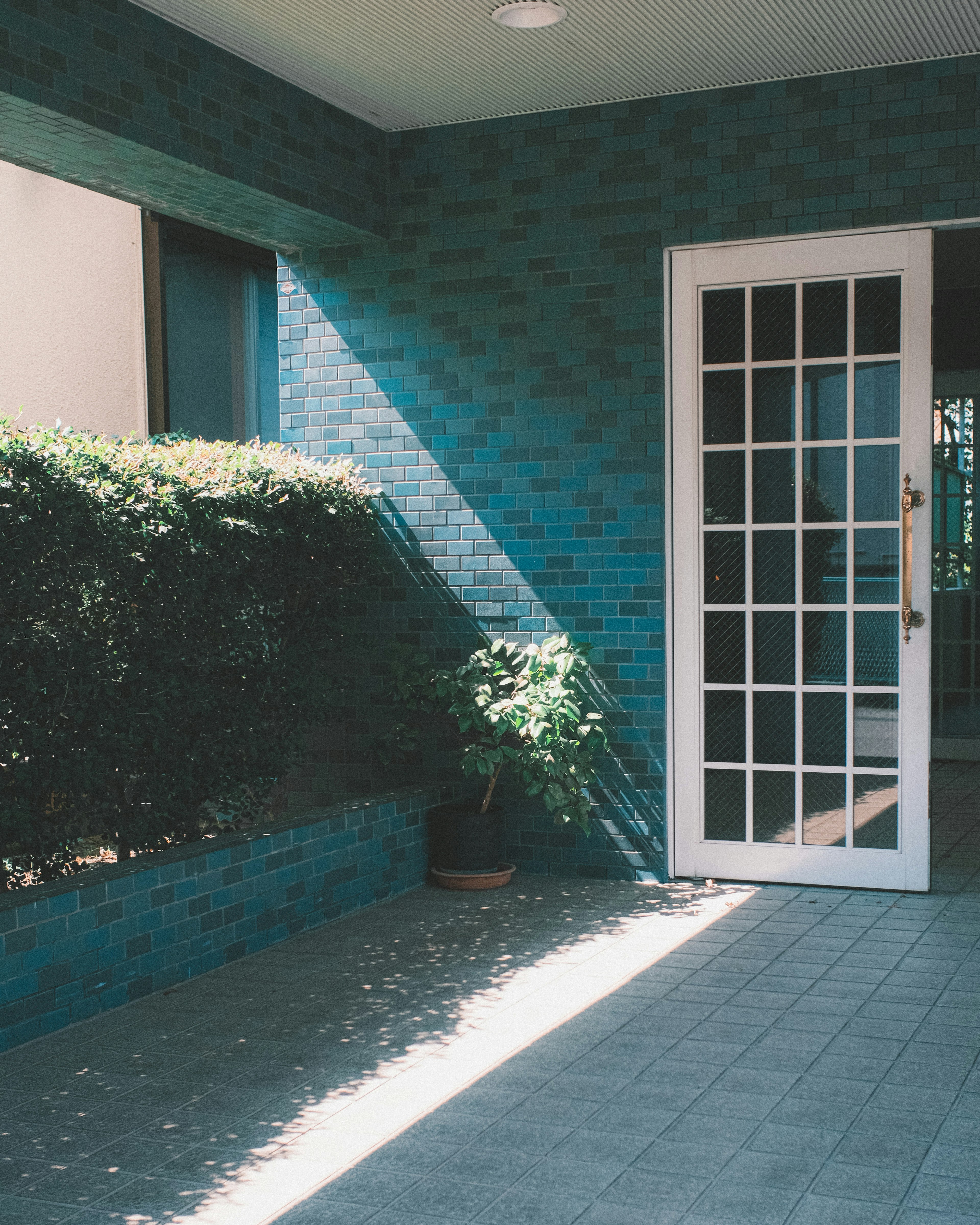 Eingang mit blauer Wand weißer Tür und grünen Pflanzen