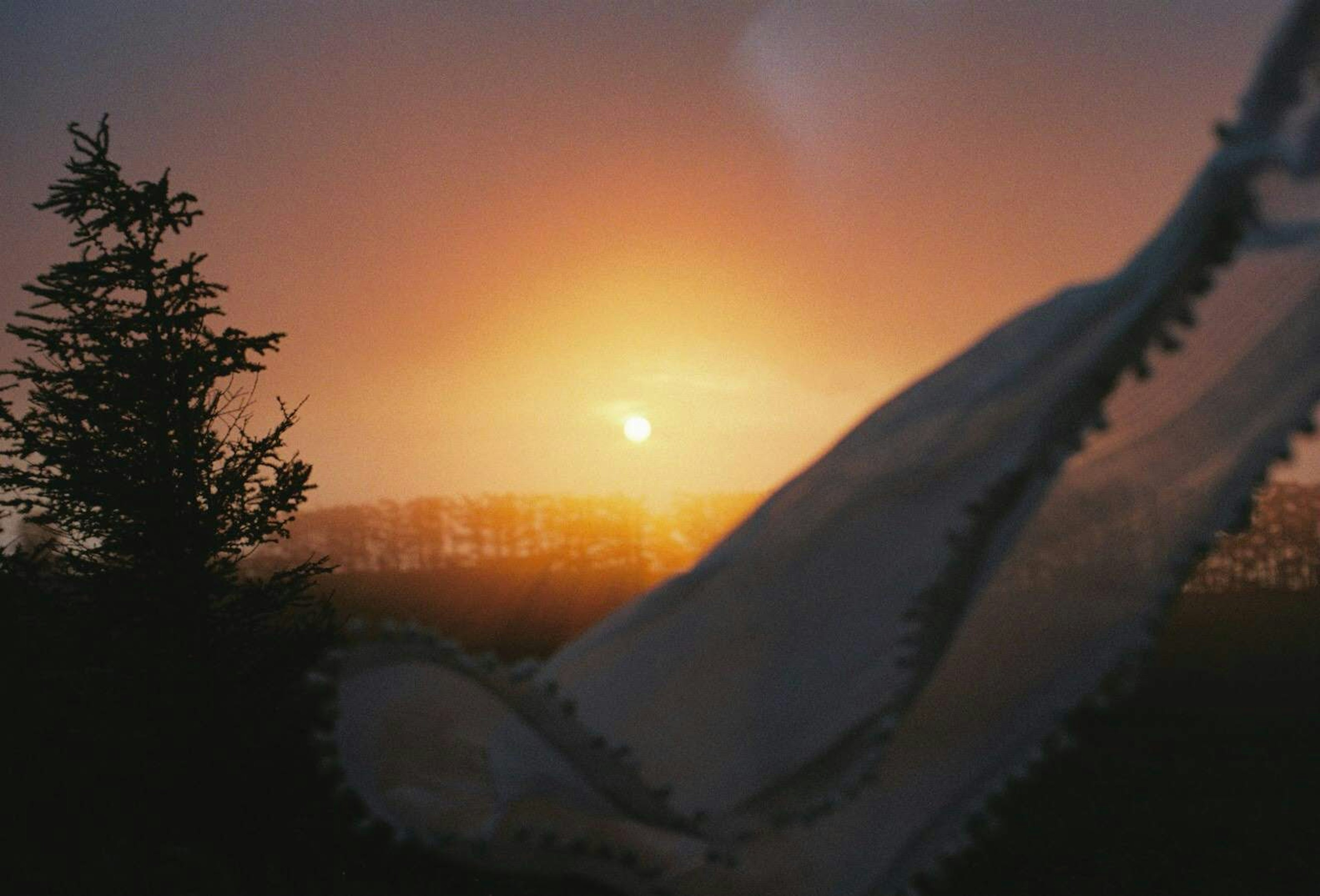 Un tessuto bianco davanti a un tramonto con silhouette di alberi