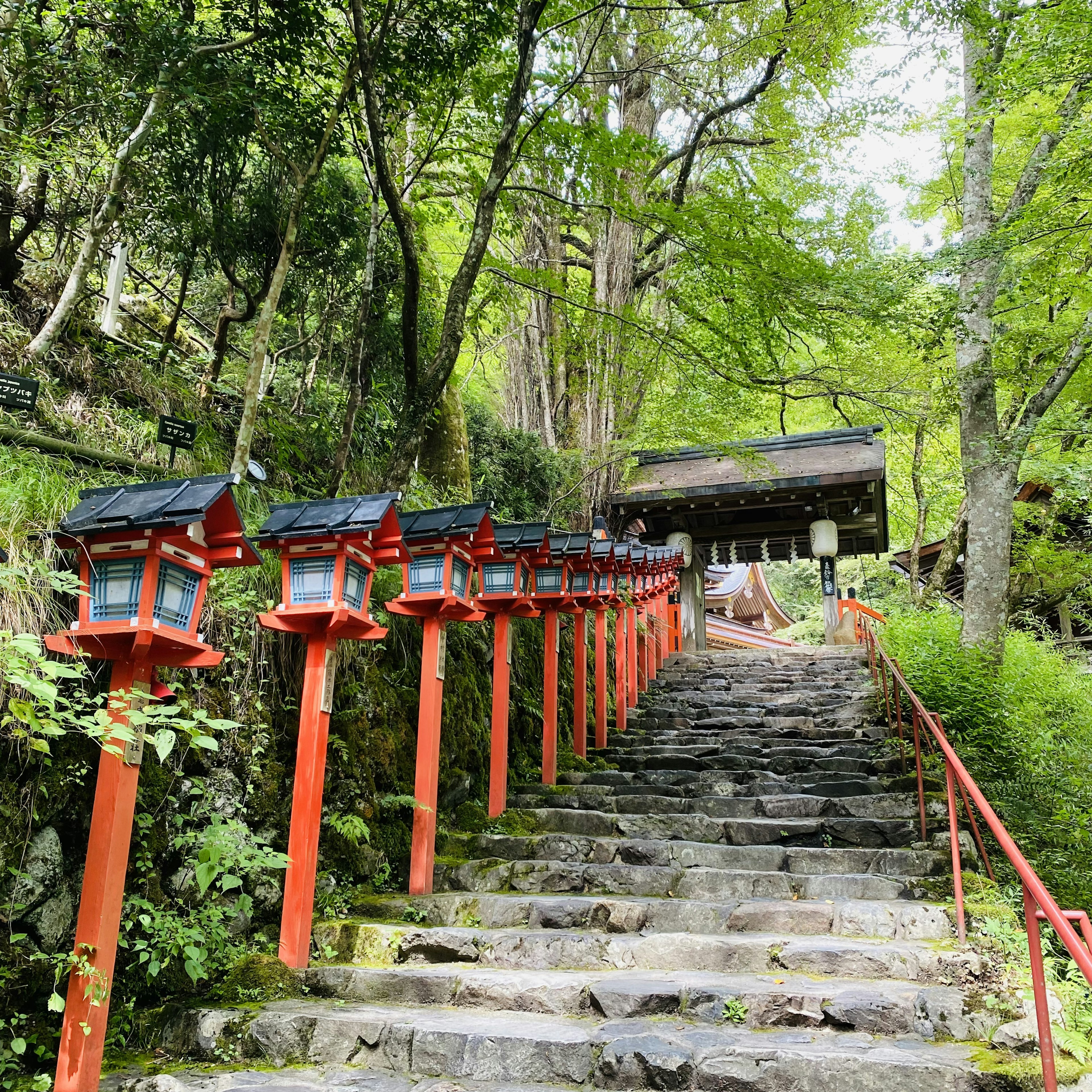 Stone steps leading to a shrine with red lanterns and lush greenery