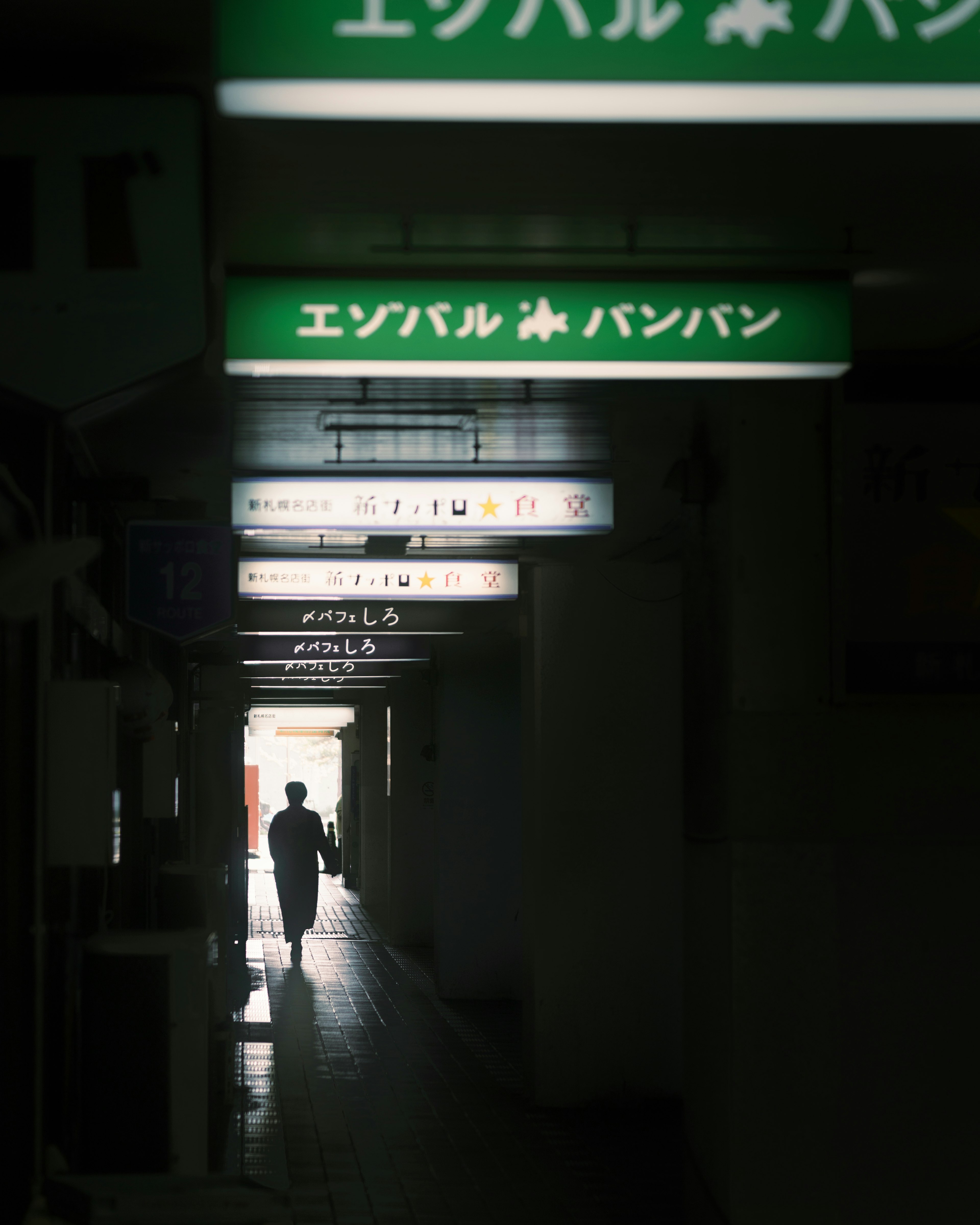 Silhouette d'une personne dans un couloir sombre avec des panneaux verts