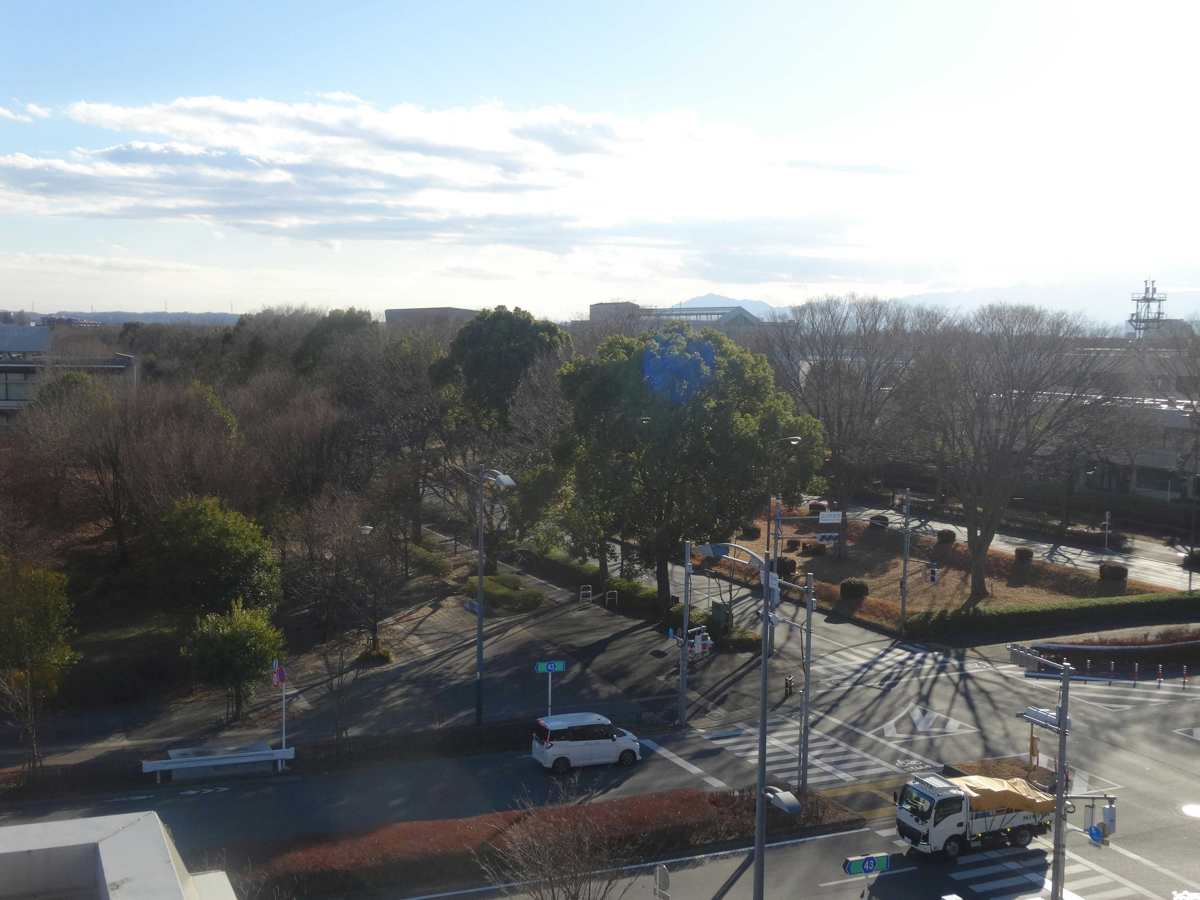 Vista del parque con árboles bajo un cielo azul